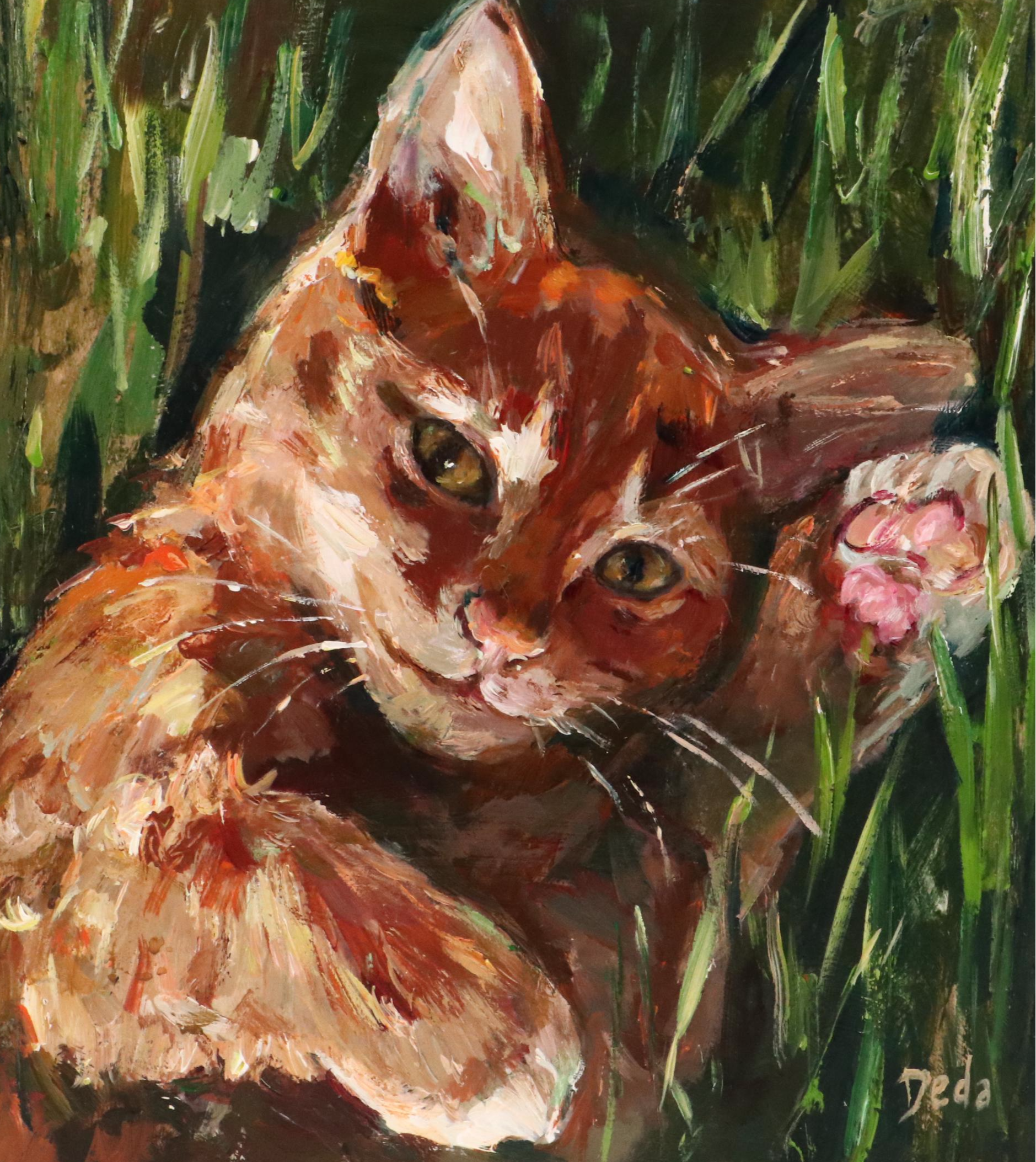 Adam Deda Oil Painting of Cat "Bathed in Sunlight," 2025
