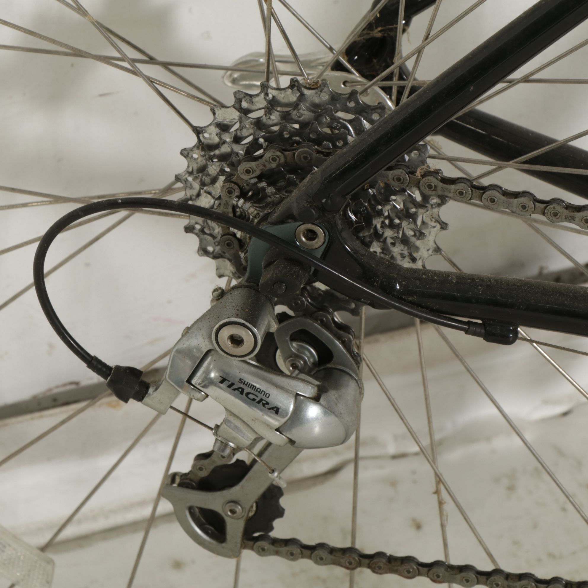 Specialized "Dolce" Road Bike