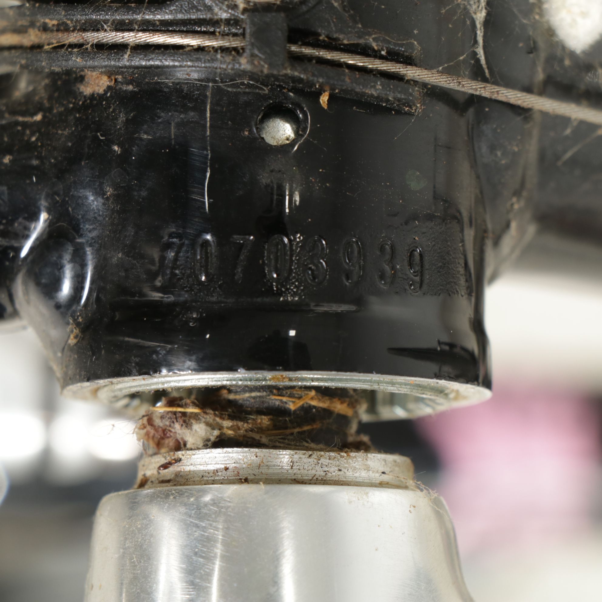 Specialized "Dolce" Road Bike