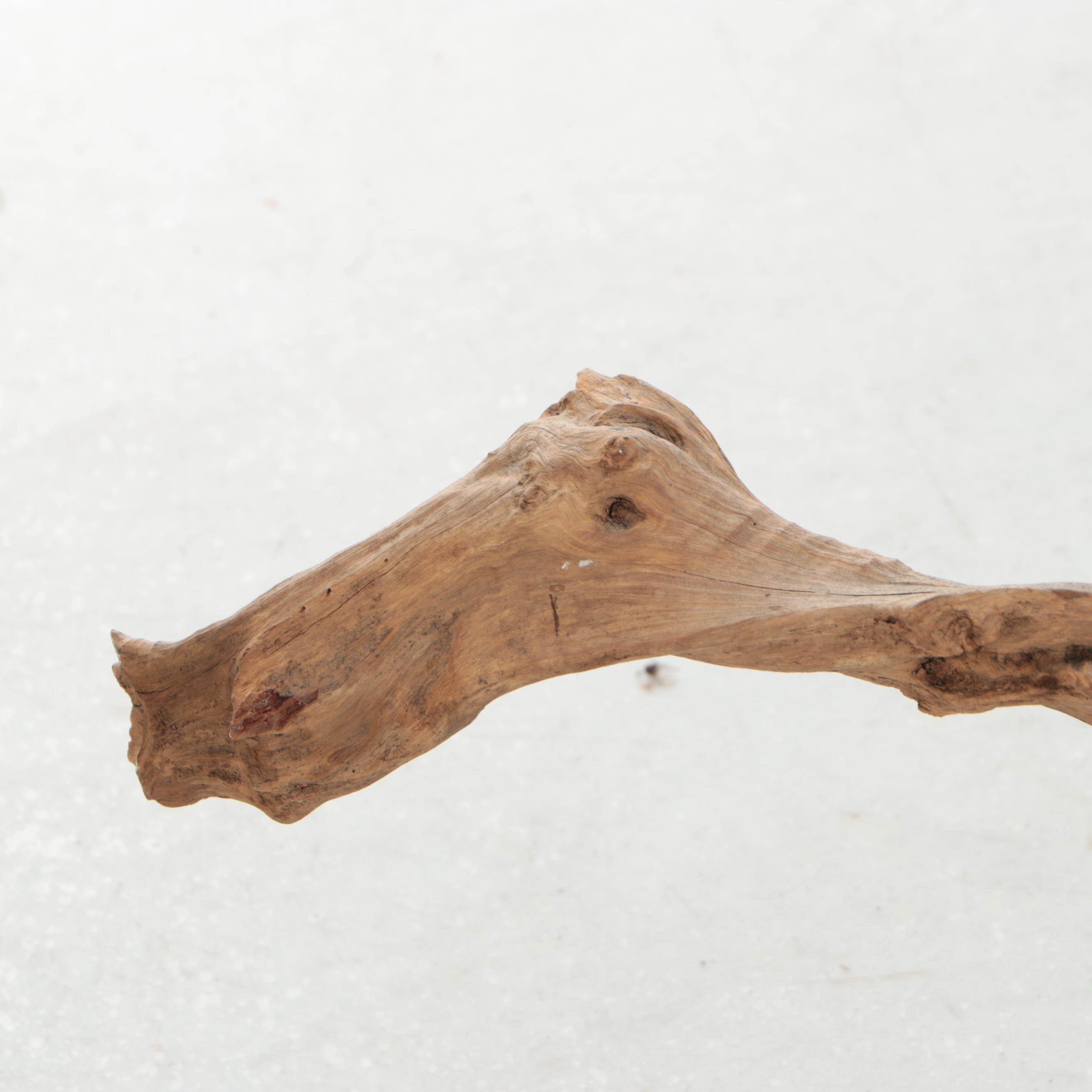 Carved Wood Heron Sculpture on Driftwood