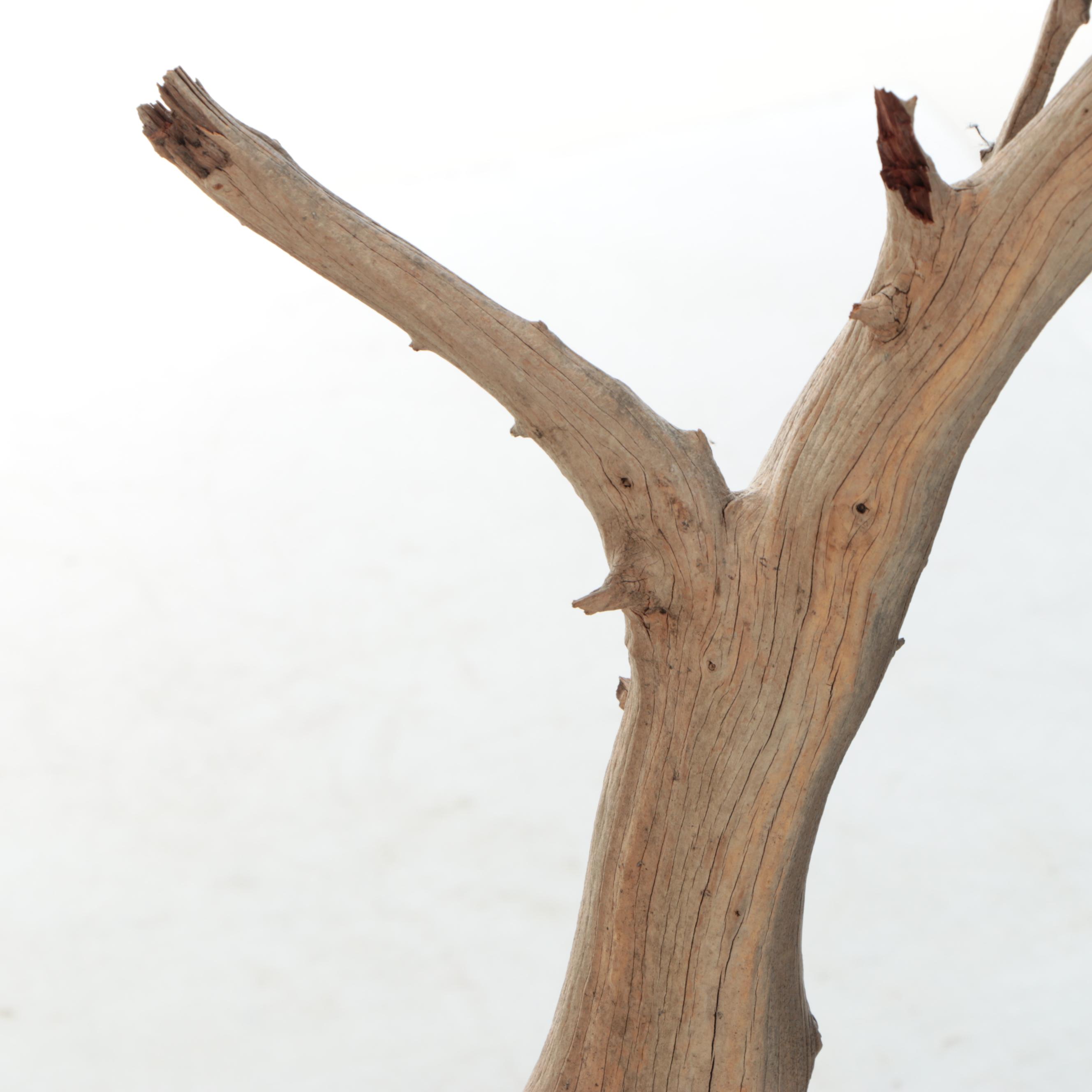 Carved Wood Heron Sculpture on Driftwood