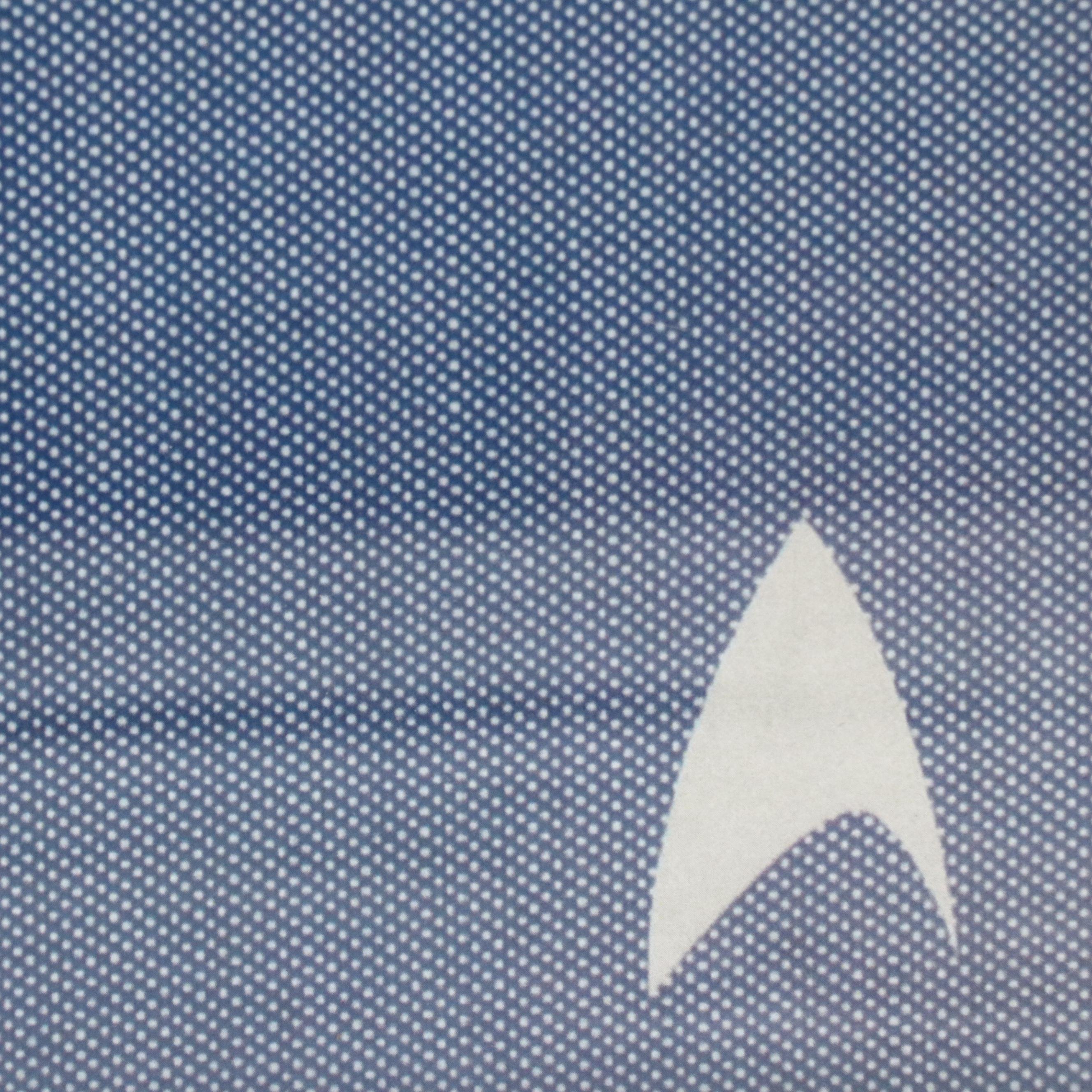 Star Trek Offset Lithograph of Spock After Ty Mattson, 21st Century