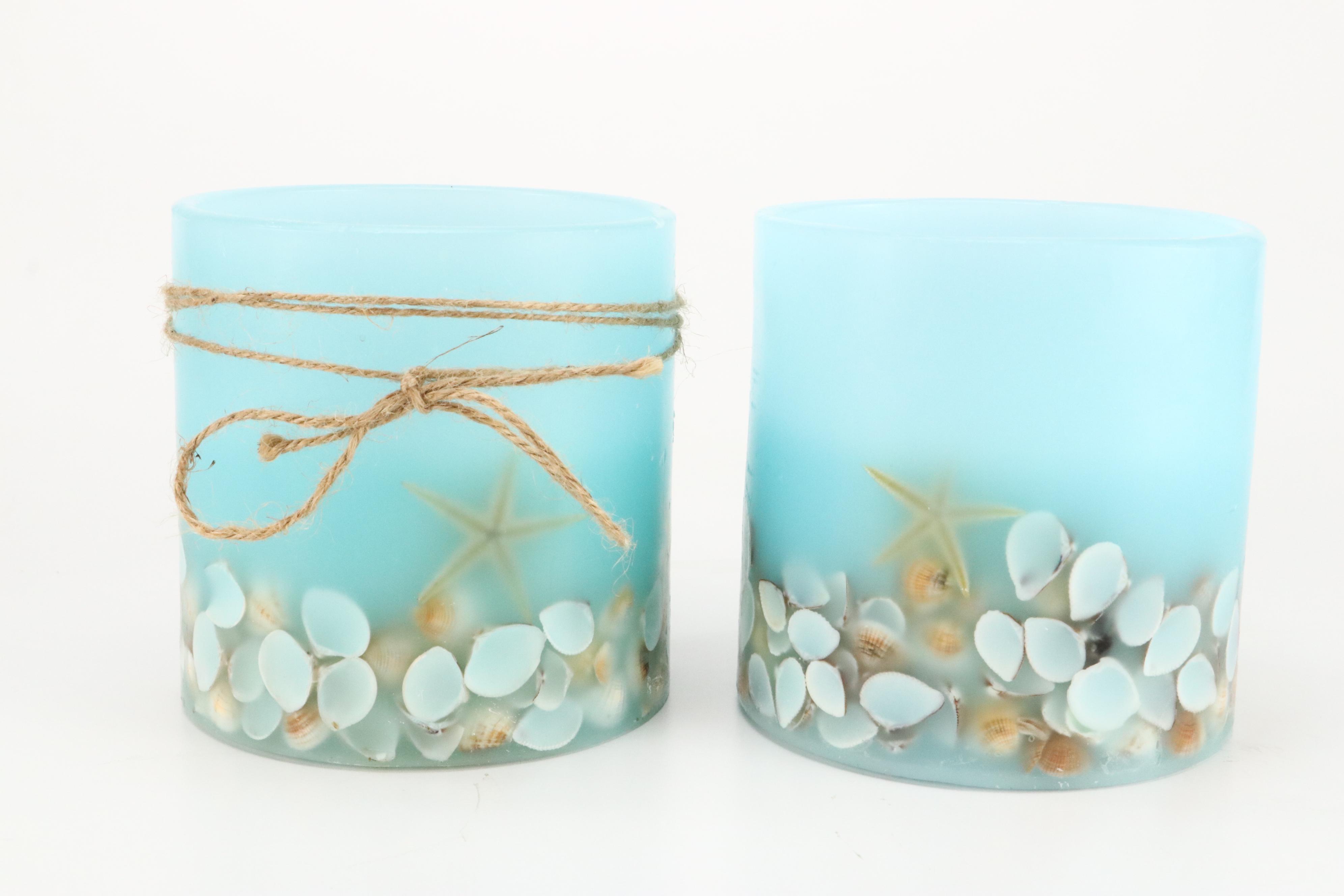 Queen Conch with Triton, Murex, and Other Seashells, LED Candles & More