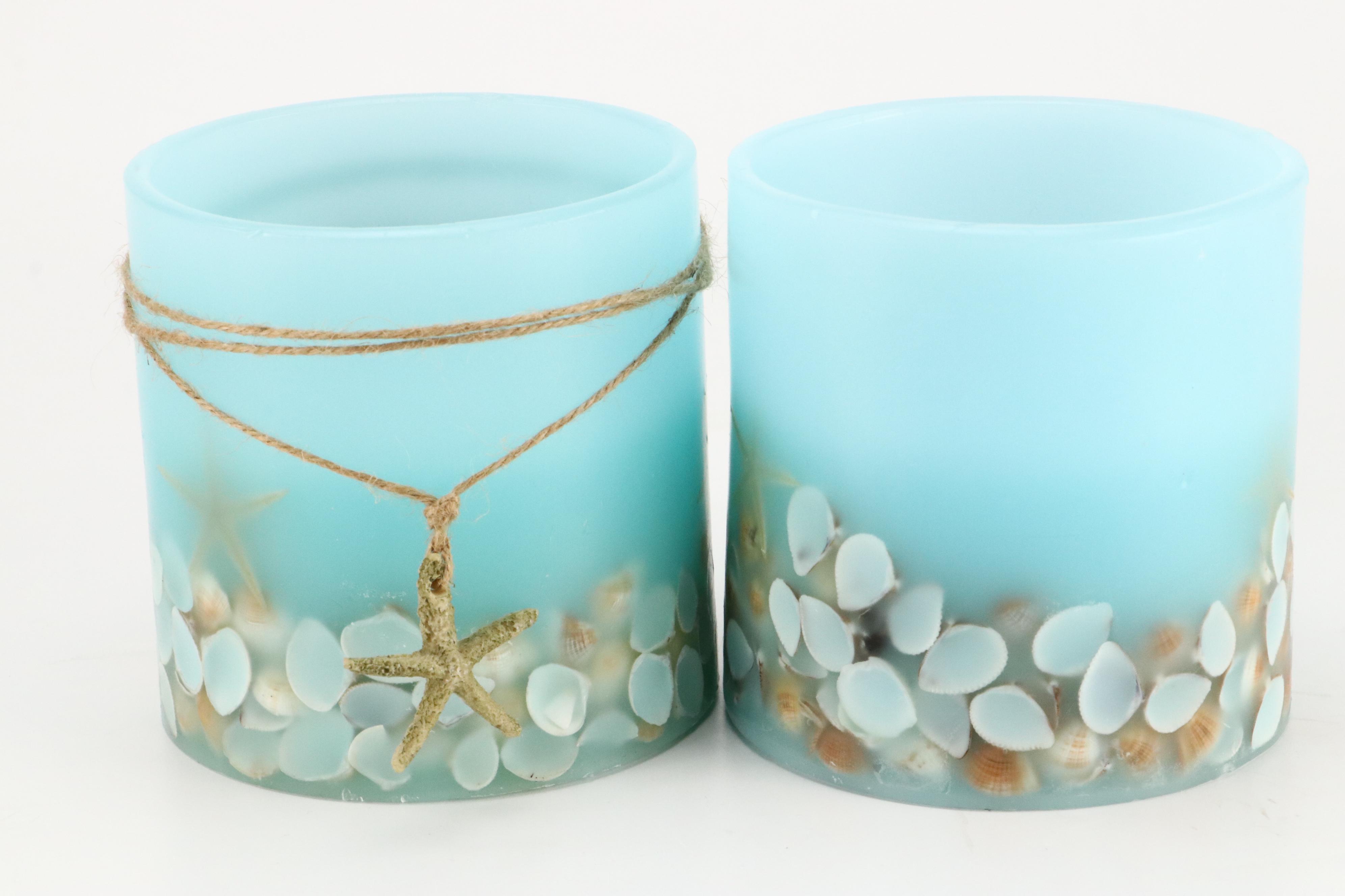 Queen Conch with Triton, Murex, and Other Seashells, LED Candles & More