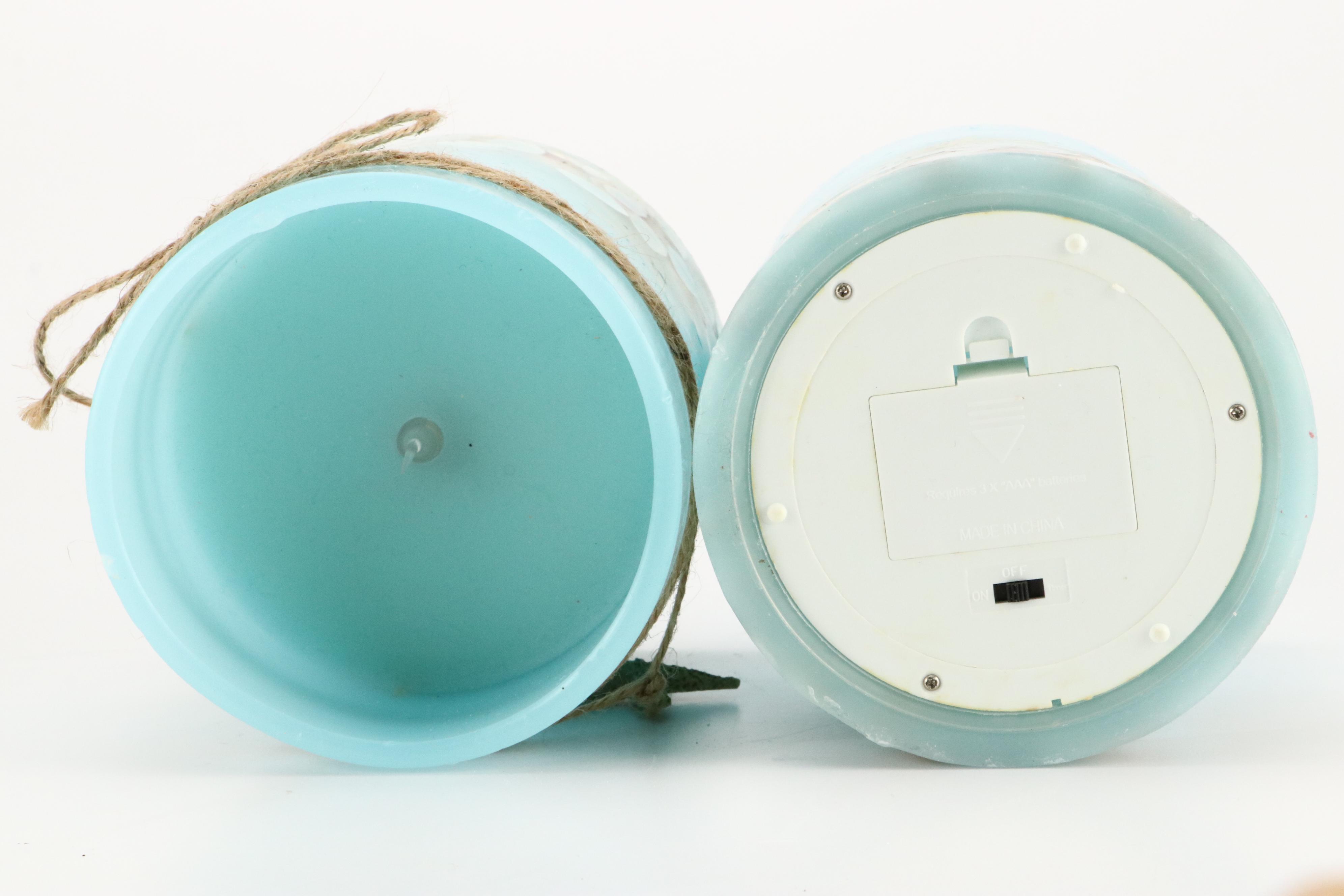 Queen Conch with Triton, Murex, and Other Seashells, LED Candles & More