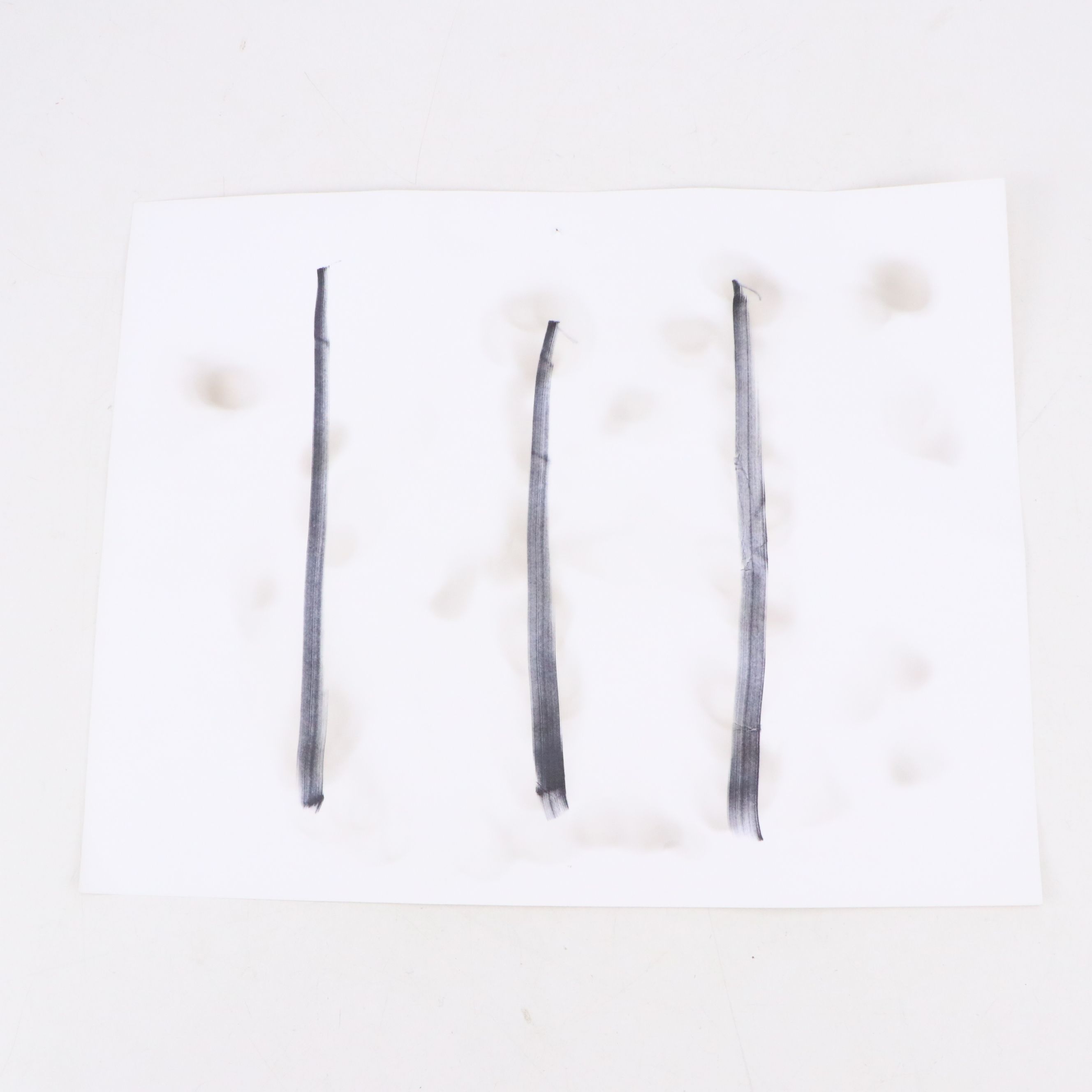 Prohibition Style Whisky Prescription Form with Reproduction Sign