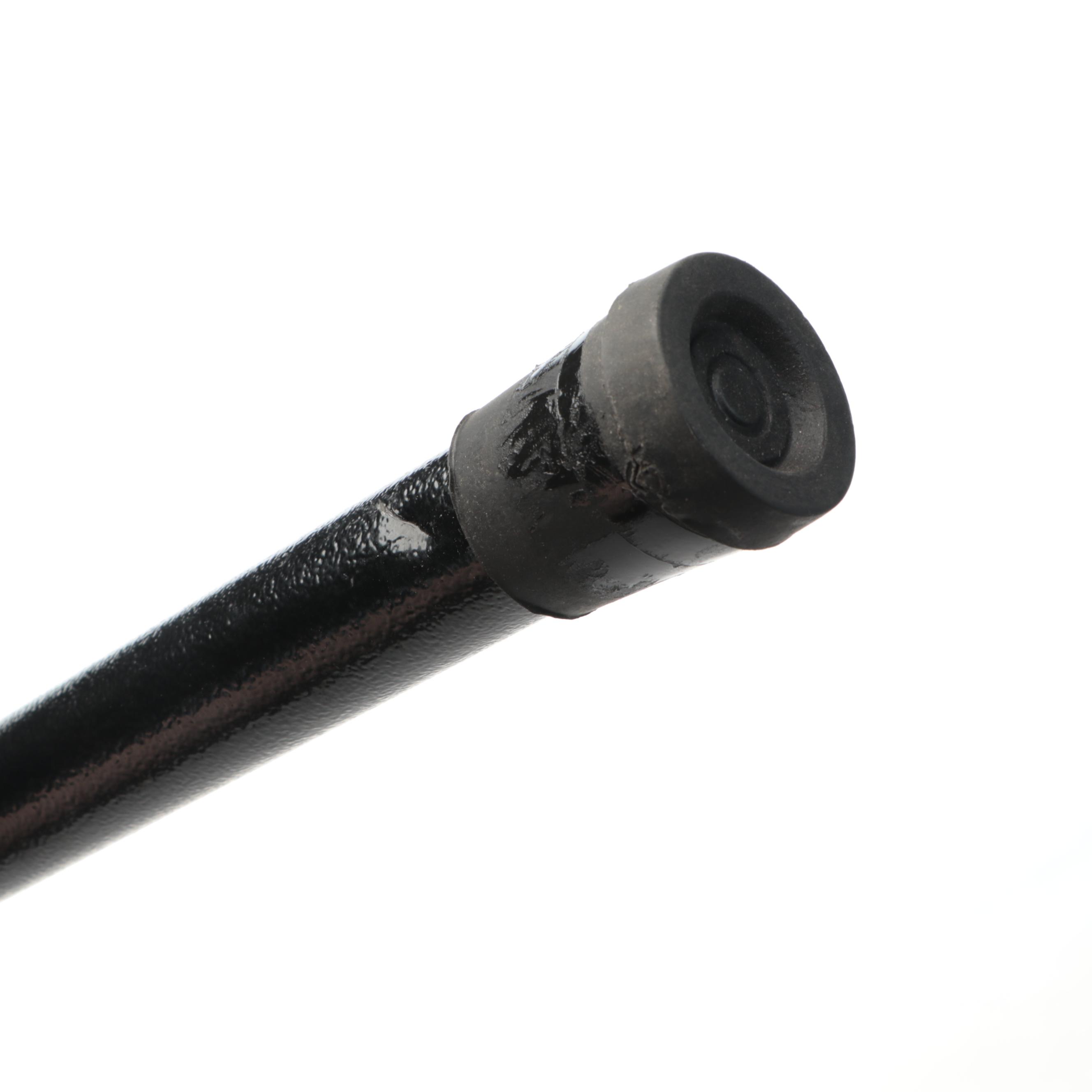 Snarling Dragon Sword Cane