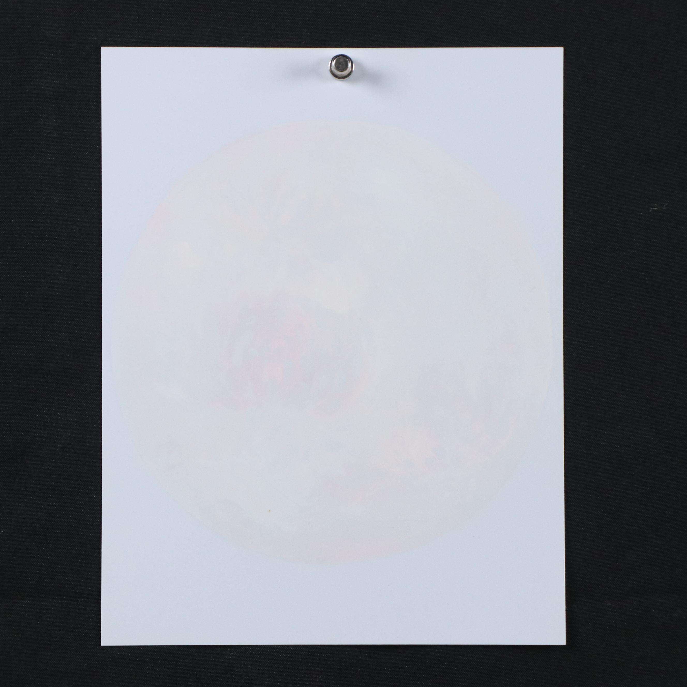 M. Rubin Floral Oil Painting of Chrysanthemums