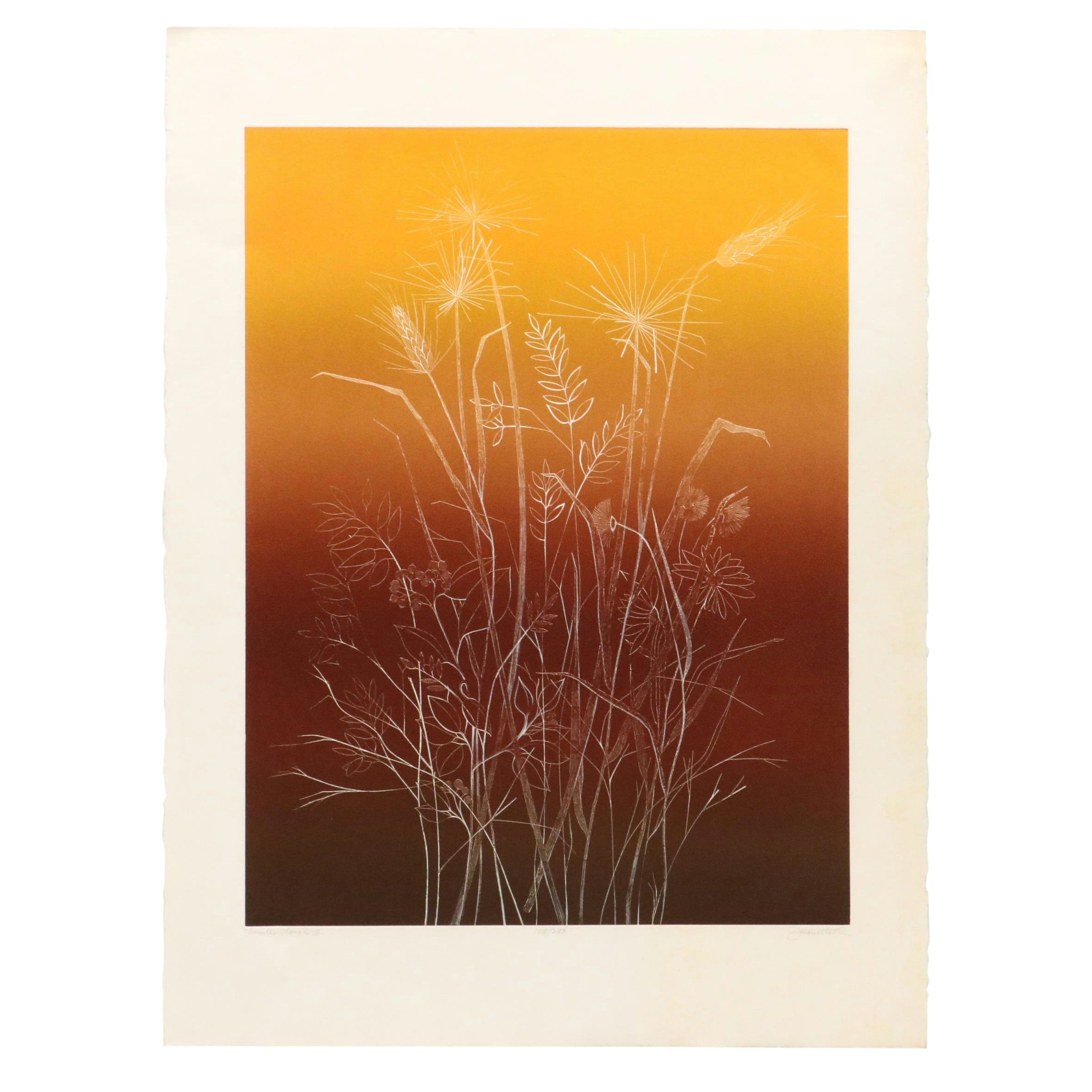 Ombré Serigraph "Winter Floral II," Late 20th - 21st Century