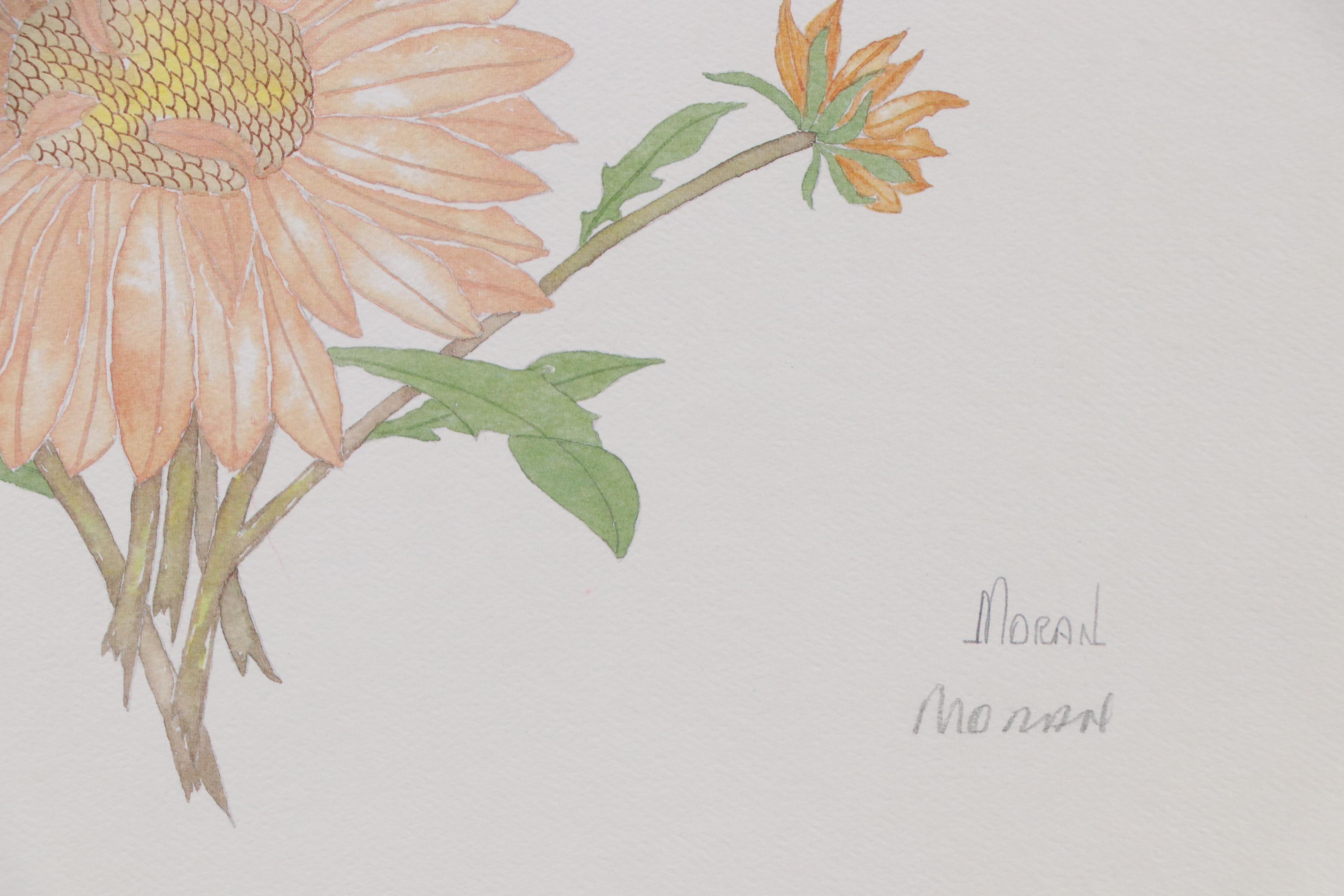 Patricia Moran Offset Lithograph "Asters," 1980