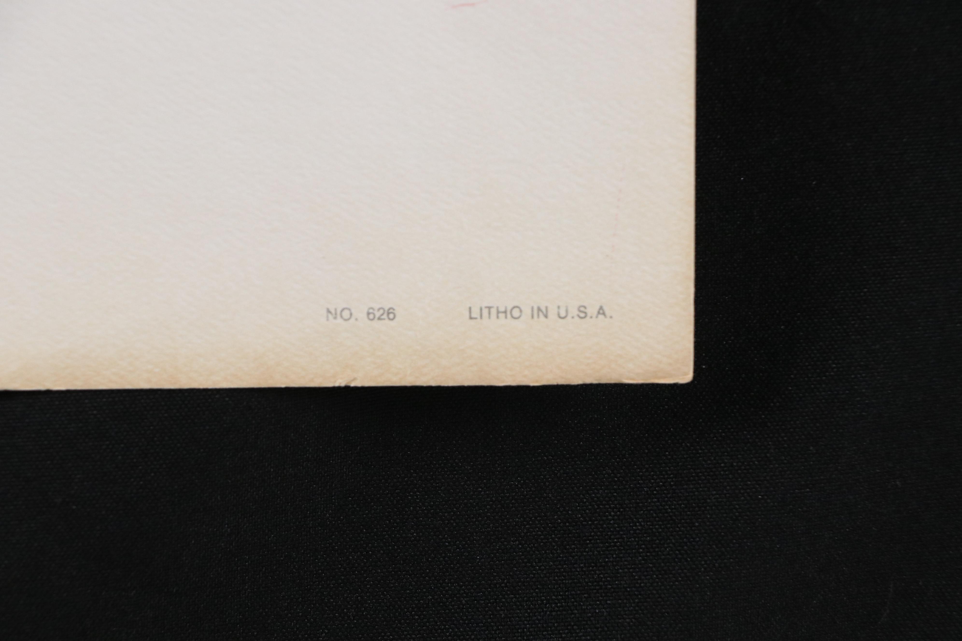 Patricia Moran Offset Lithograph "Asters," 1980