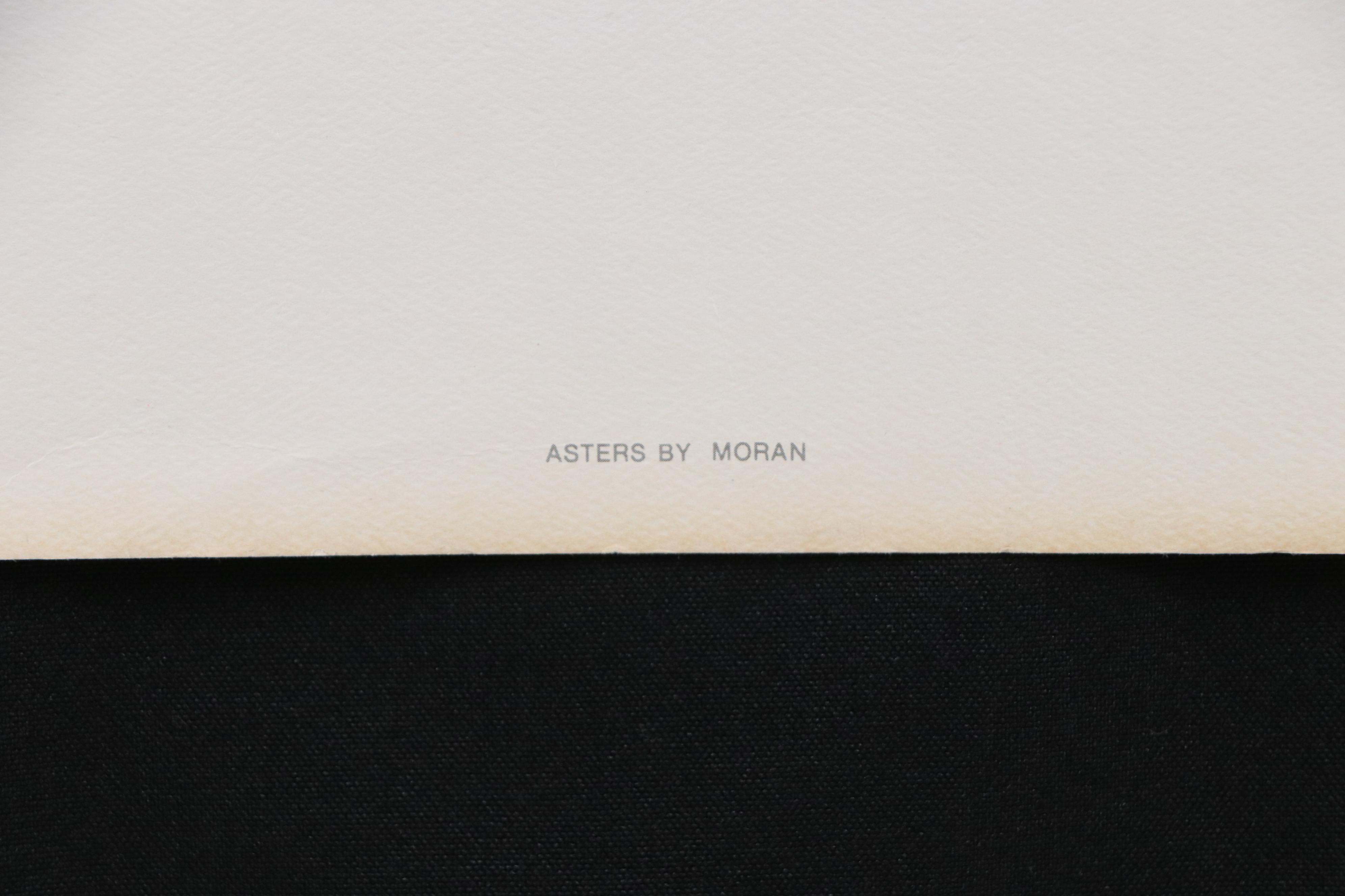 Patricia Moran Offset Lithograph "Asters," 1980