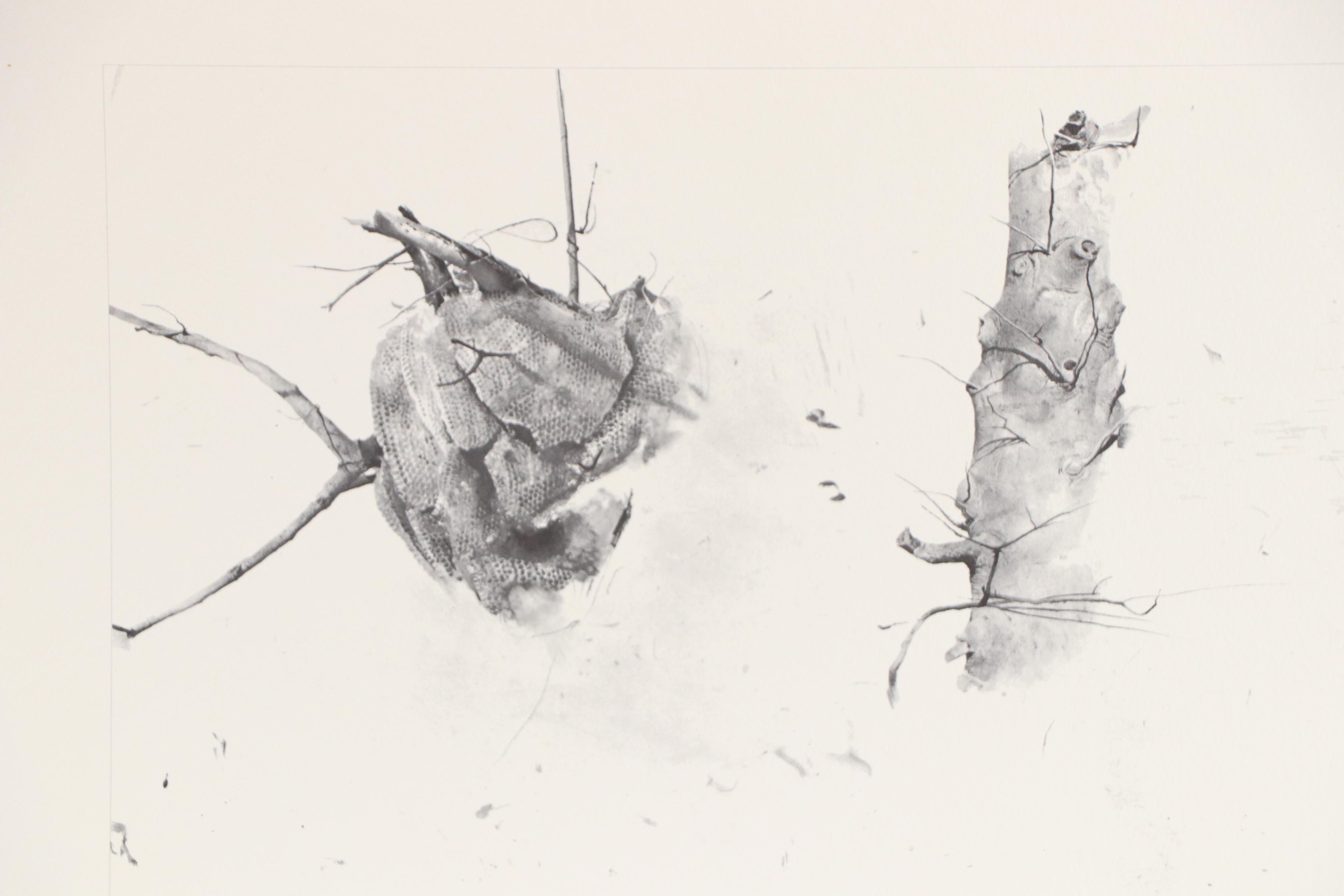 Portfolio of Offset Lithographs "The Four Seasons" After Andrew Wyeth