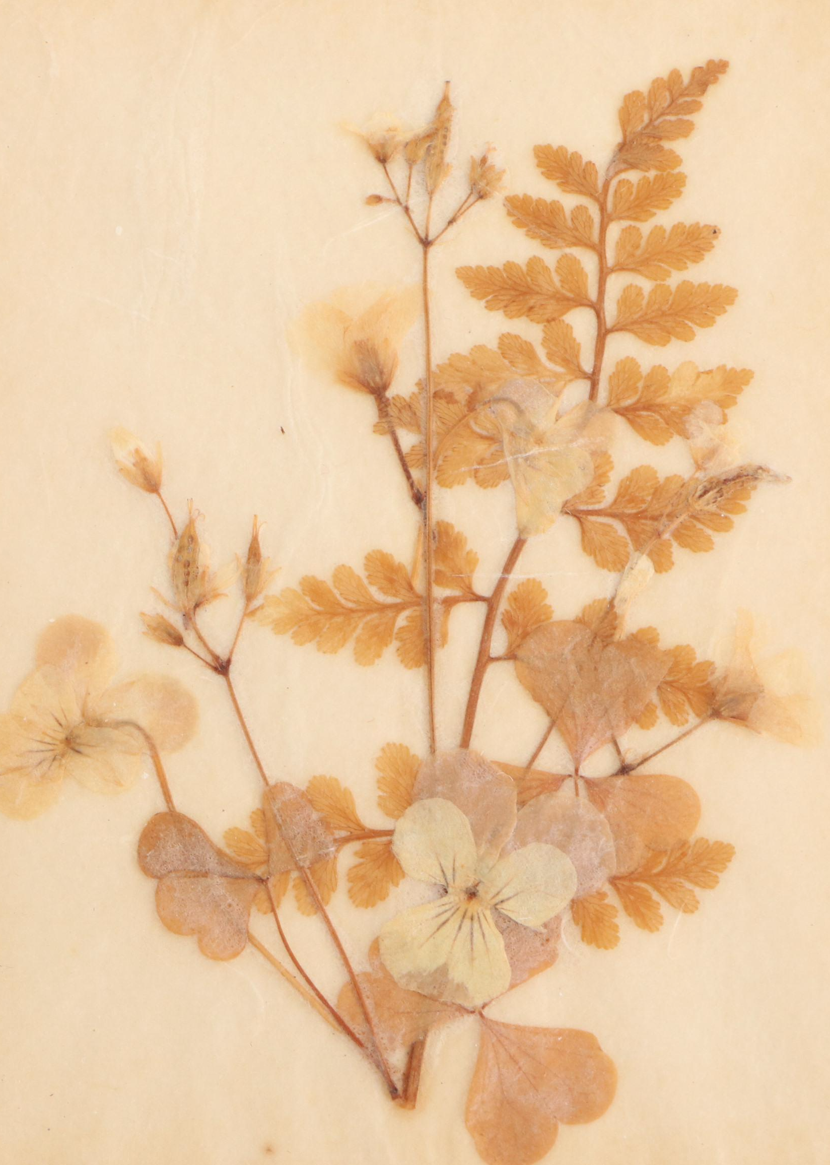 Pressed and Dried Flower Panels, 1968