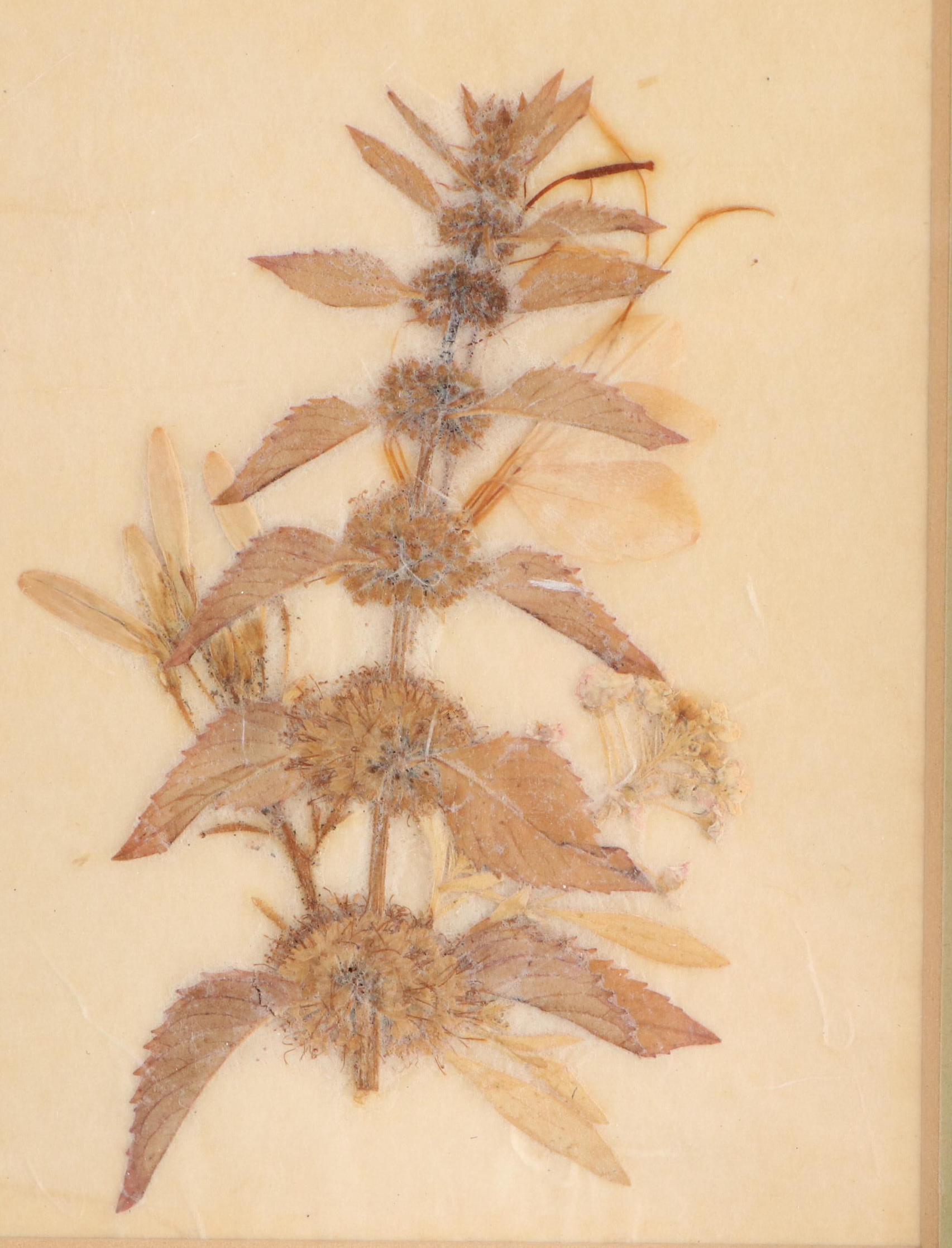 Pressed and Dried Flower Panels, 1968