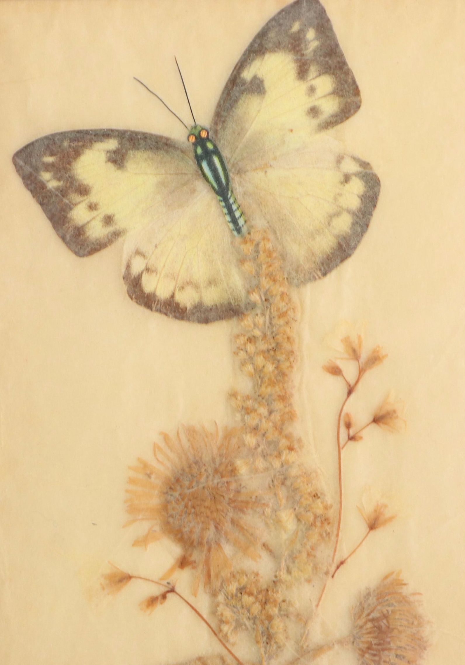 Pressed and Dried Flower Panels, 1968