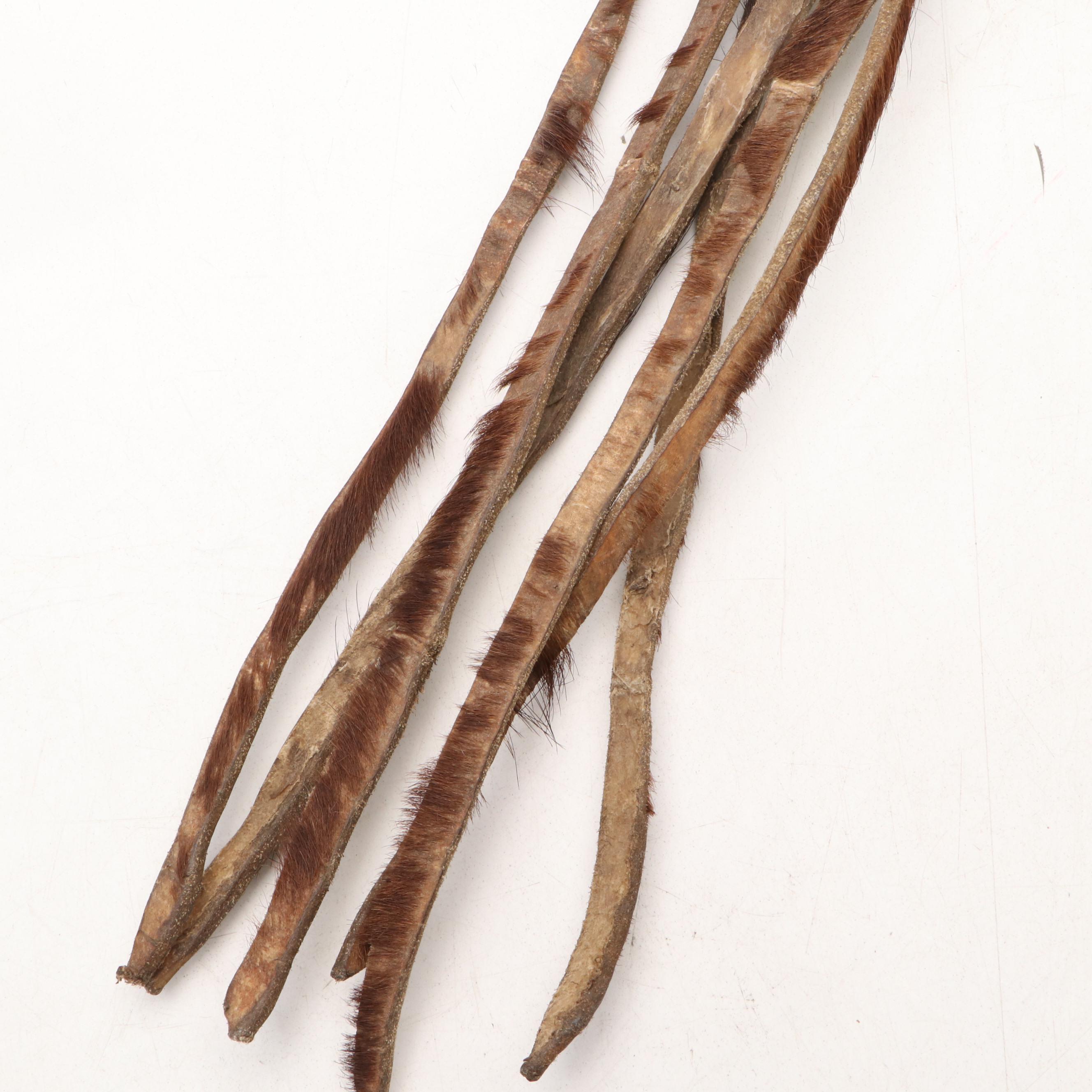 Zulu "Mahfahlawani" Cocoon Ankle Rattles, Plains War Club, More, 20th C.
