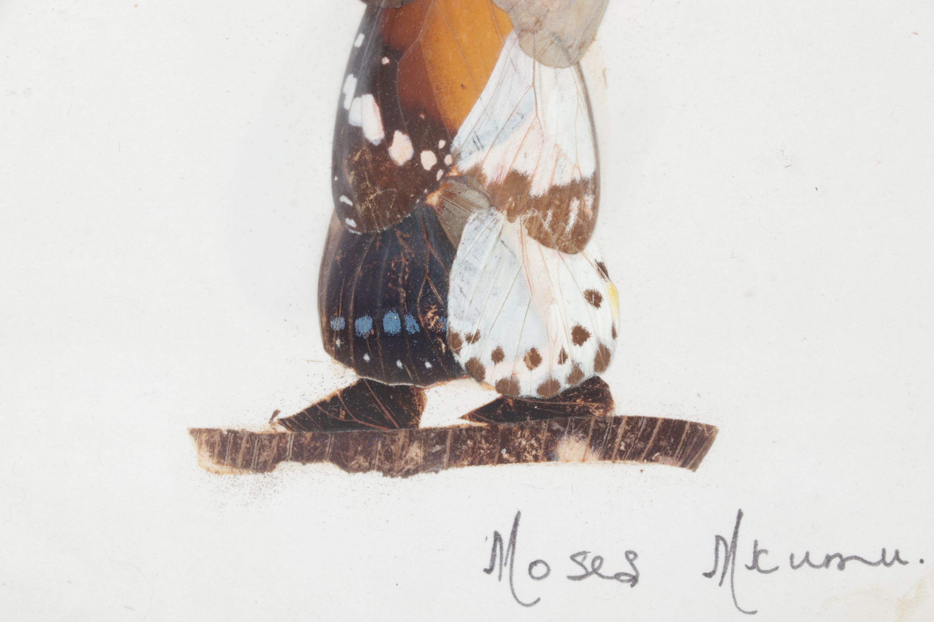 Central African Artisan Handmade Butterfly Wing Figural Silhouettes