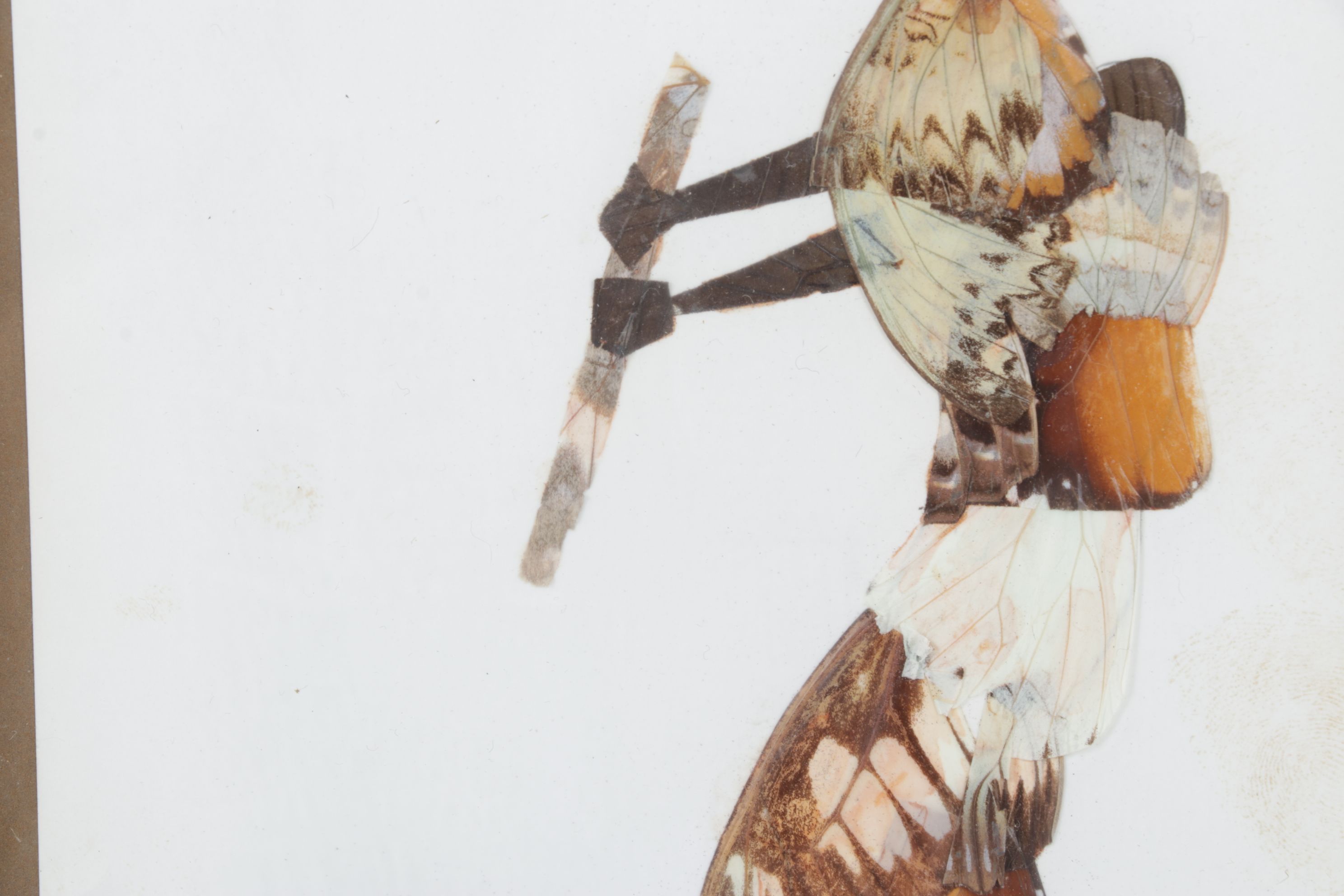 Central African Artisan Handmade Butterfly Wing Figural Silhouettes