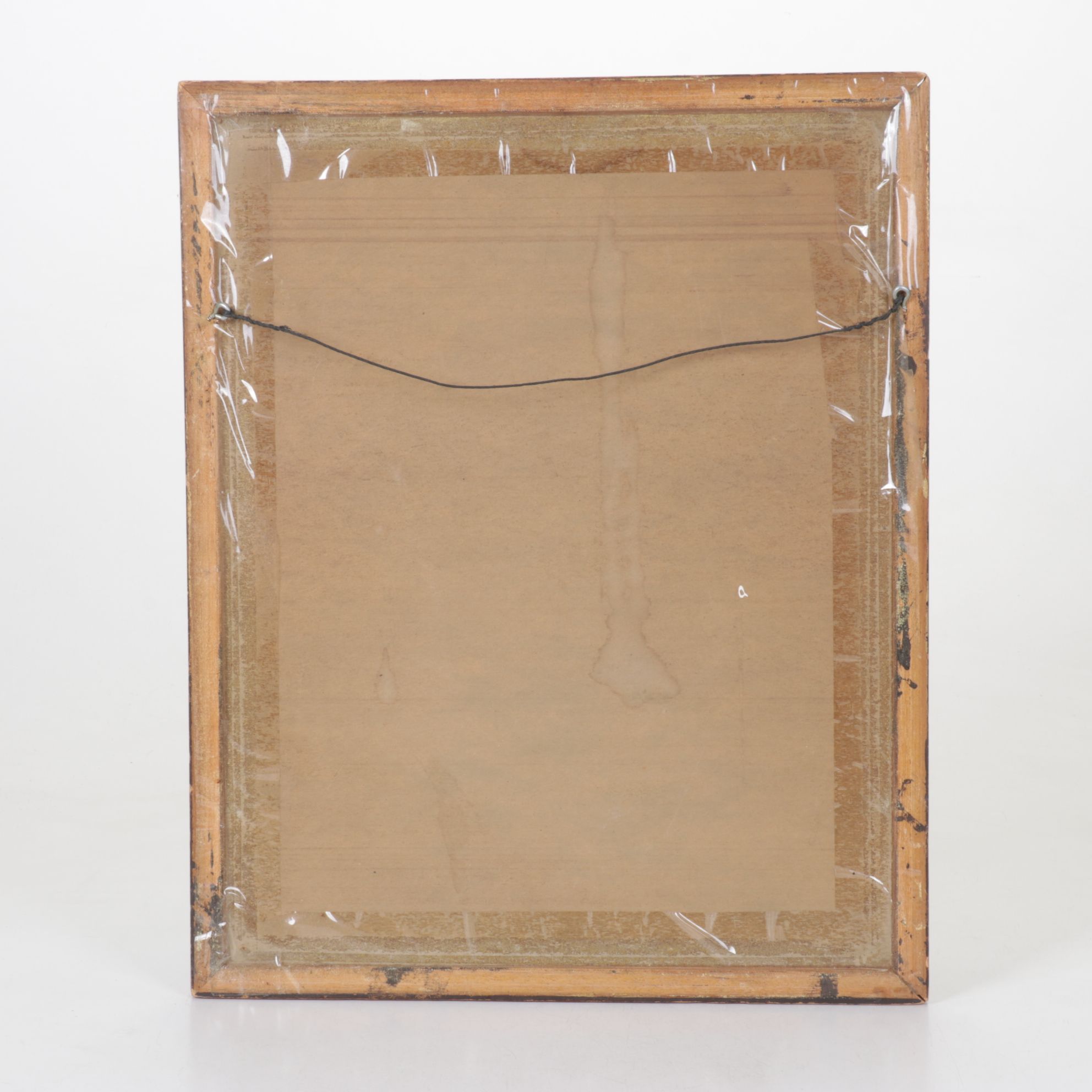 Mexican Folk Art Amate Bark Painting of Birds with Vegetal Motifs