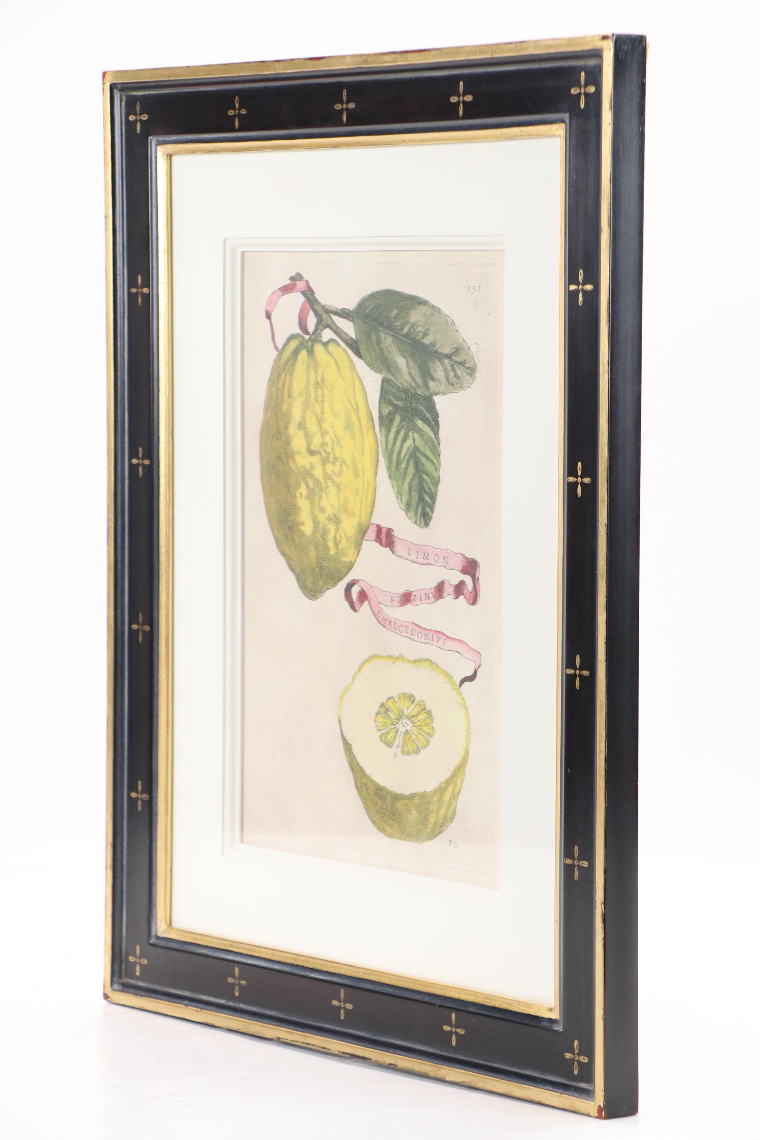 Hand-Colored Digital Reproduction After Giovanni Battista Ferrari