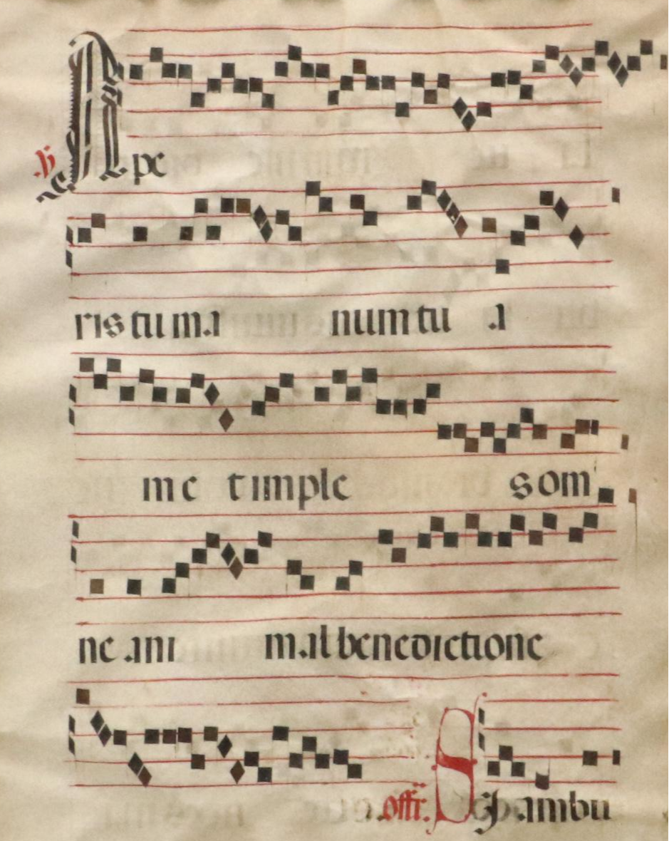 Latin Antiphonal Manuscript Leaf on Animal Vellum, 18th Century or Earlier