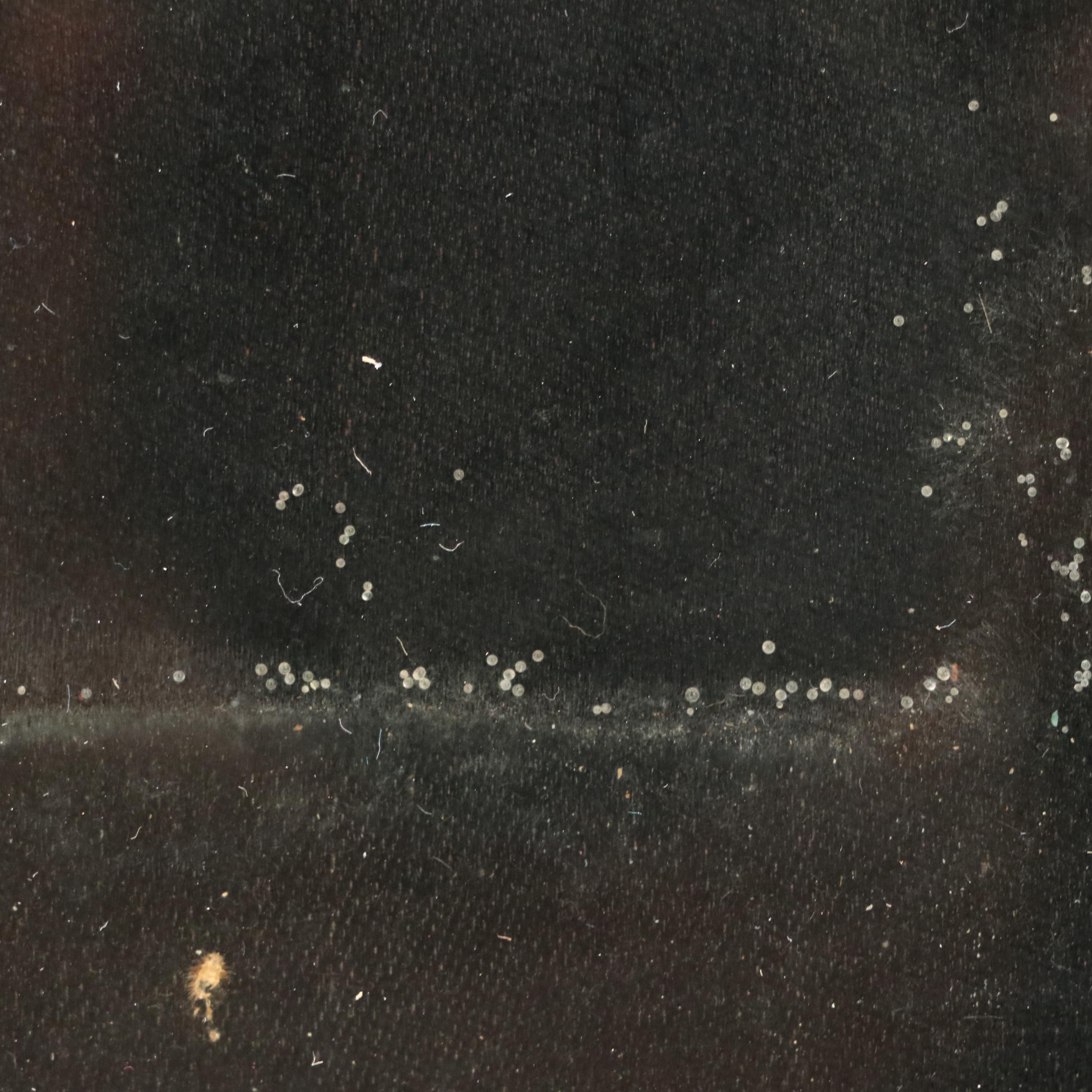 Chippendale Style Glass Covered Embroidered Fireplace Screen