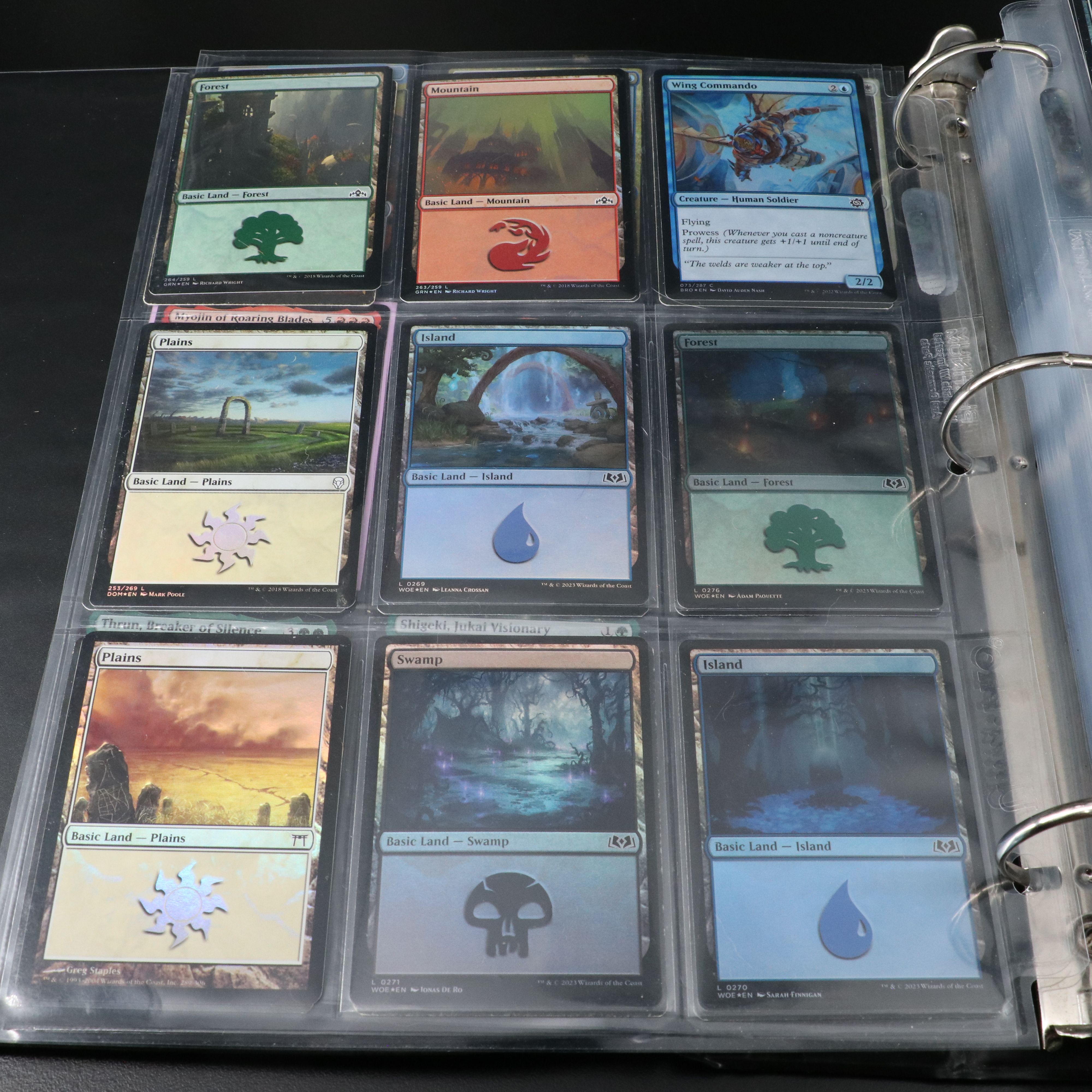 Two Albums of Magic The Gathering Cards, 1990s to 2020s, Over 1,250 Cards