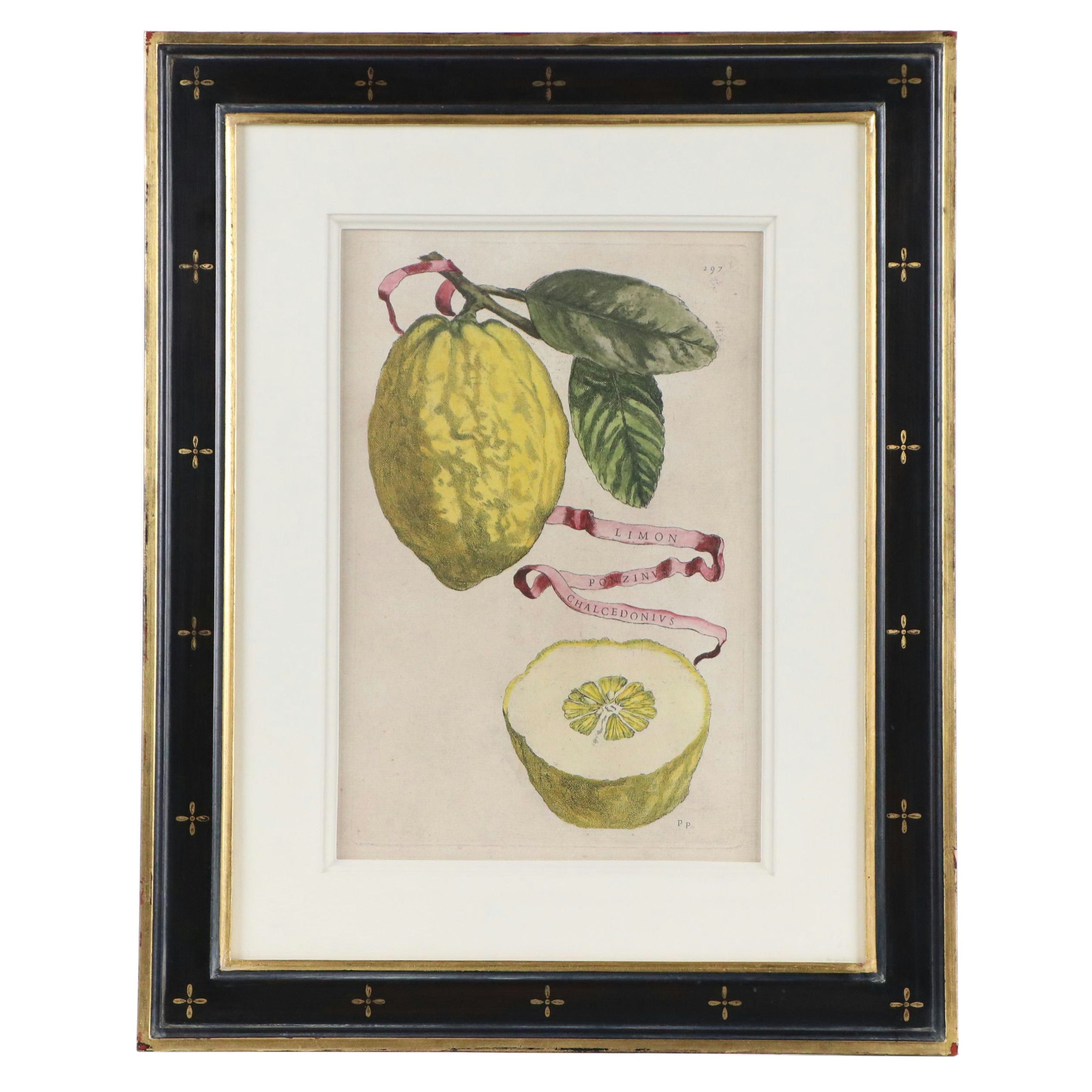 Hand-Colored Digital Reproduction After Giovanni Battista Ferrari