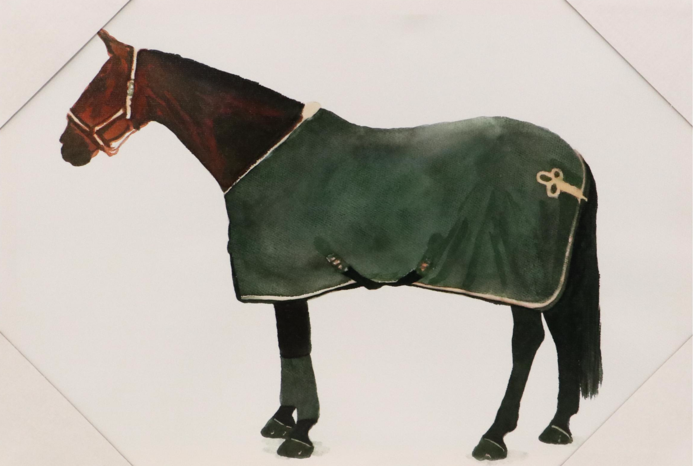 Giclée of Horse Wearing Green Fleece, 21st Century
