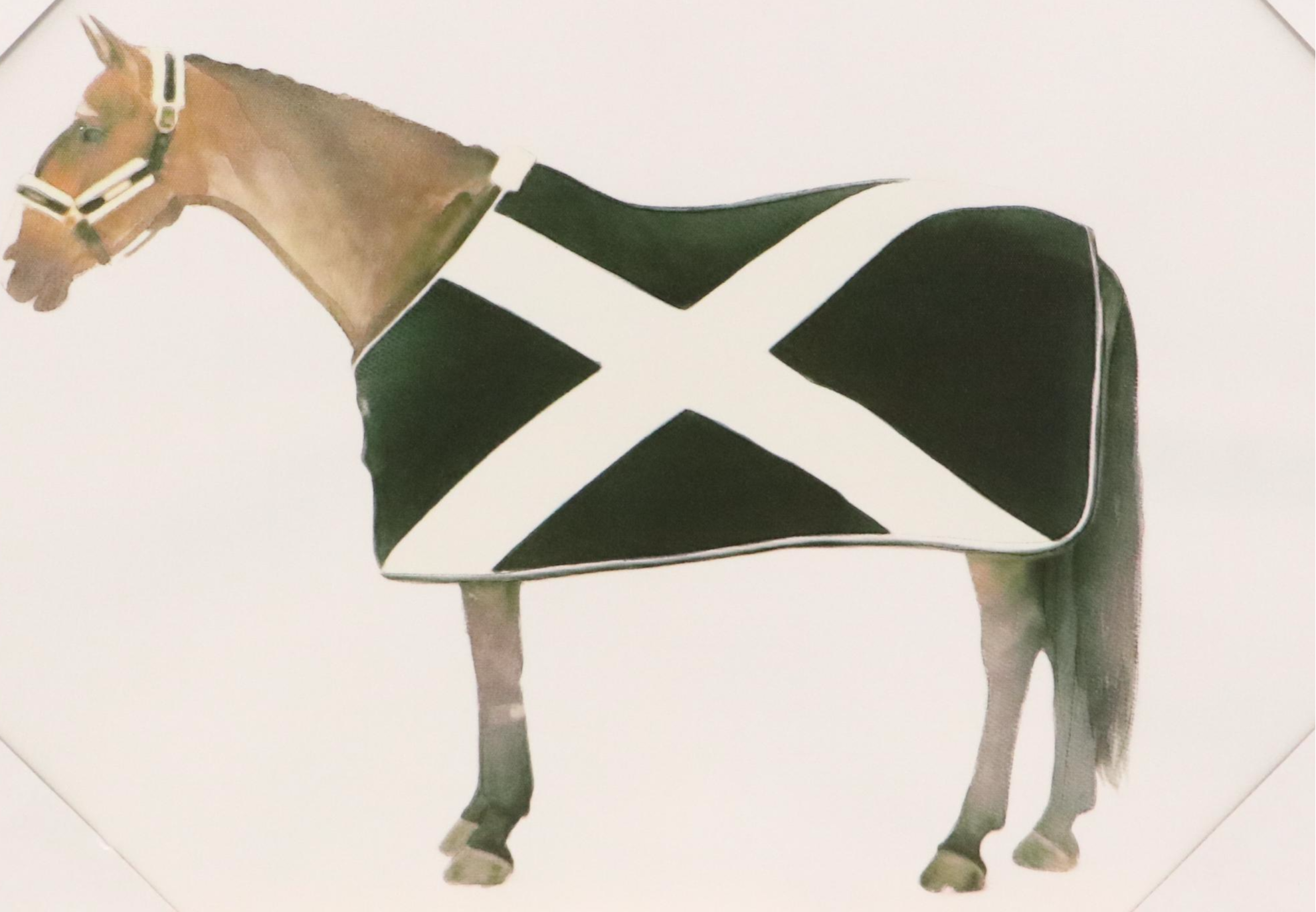 Giclée of Horse Wearing Black and White Fleece, 21st Century