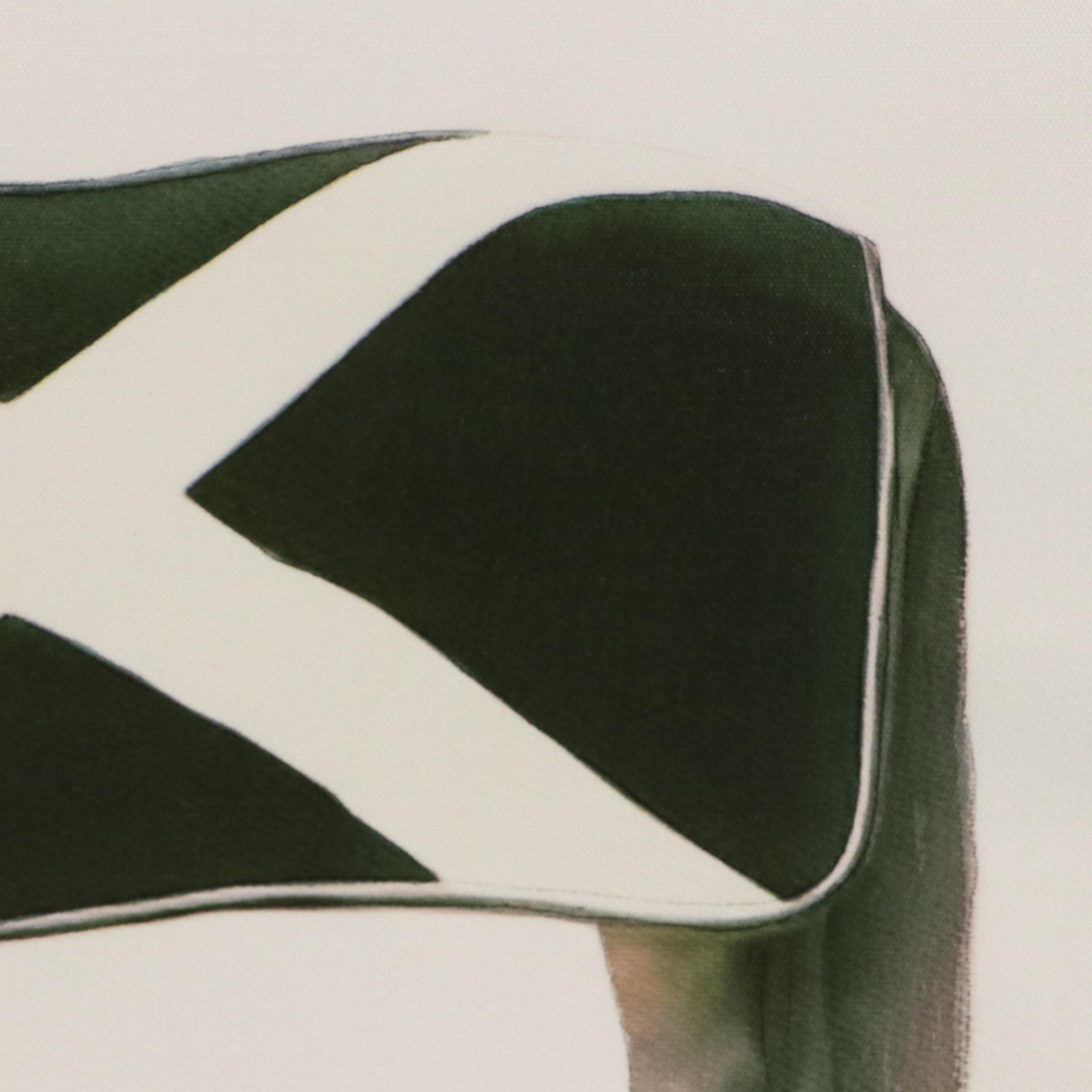 Giclée of Horse Wearing Black and White Fleece, 21st Century