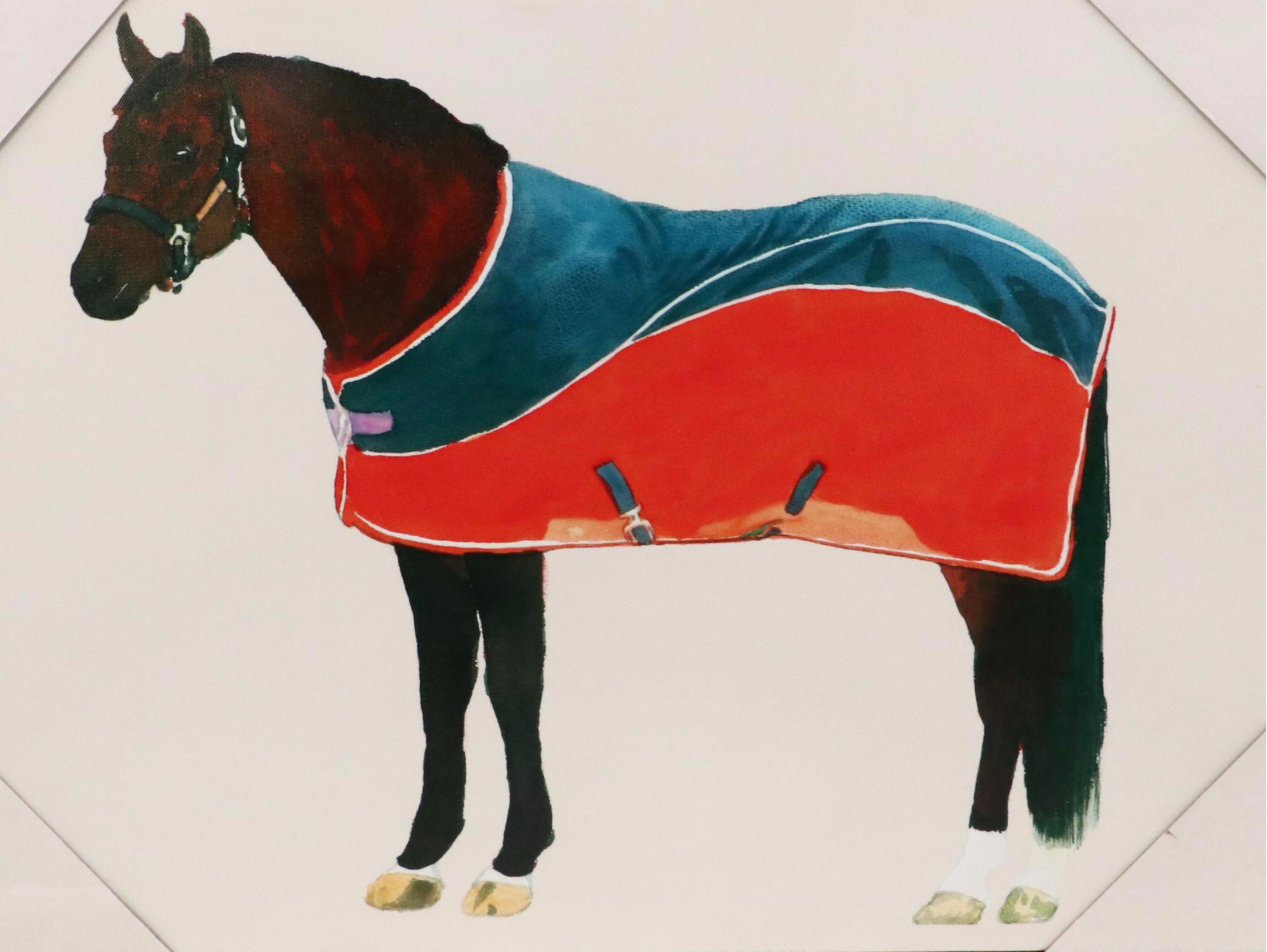 Giclée of Horse Wearing Red and Blue Fleece, 21st Century
