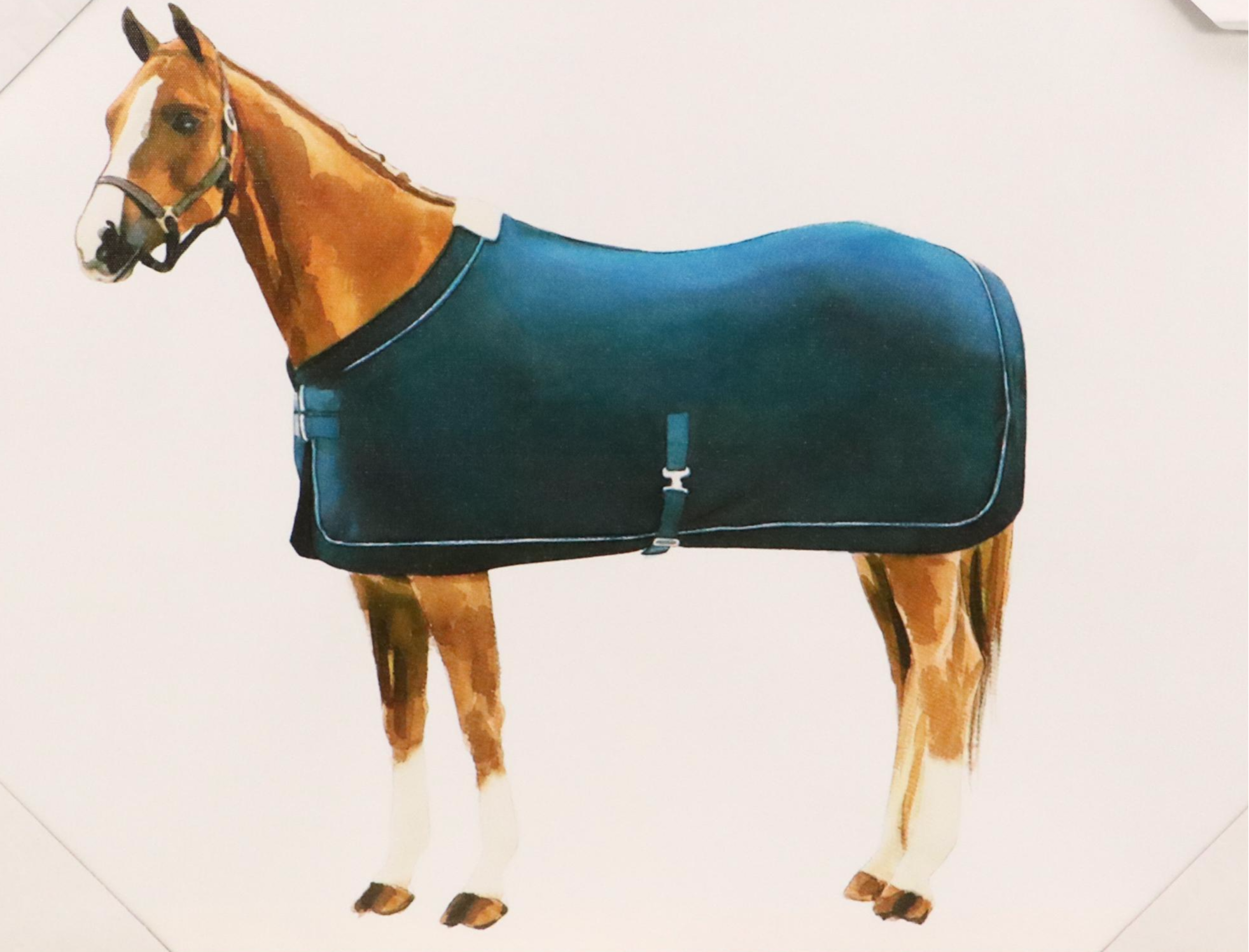 Giclée of Horse Wearing Blue Fleece, 21st Century