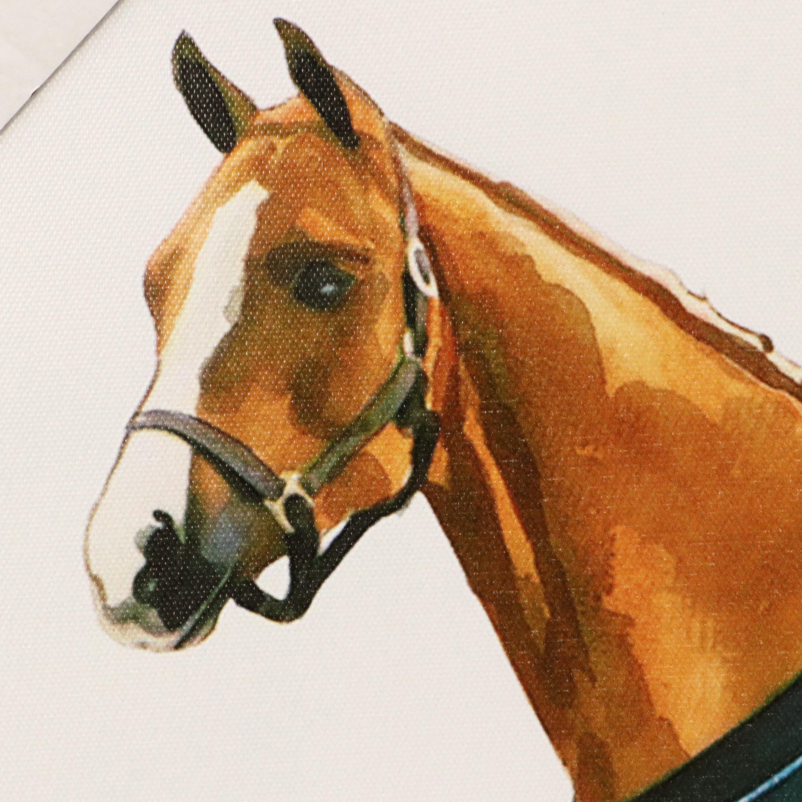 Giclée of Horse Wearing Blue Fleece, 21st Century