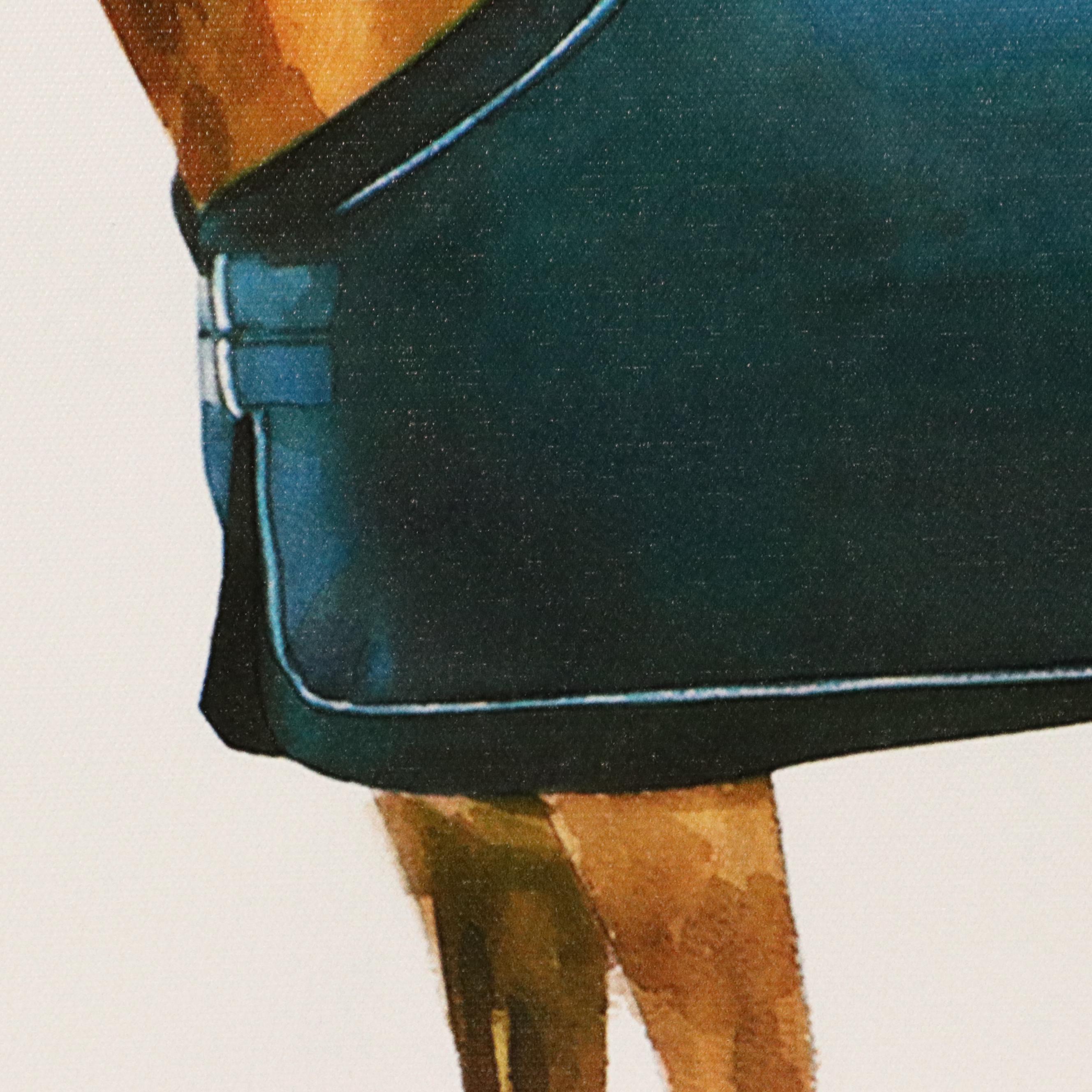 Giclée of Horse Wearing Blue Fleece, 21st Century