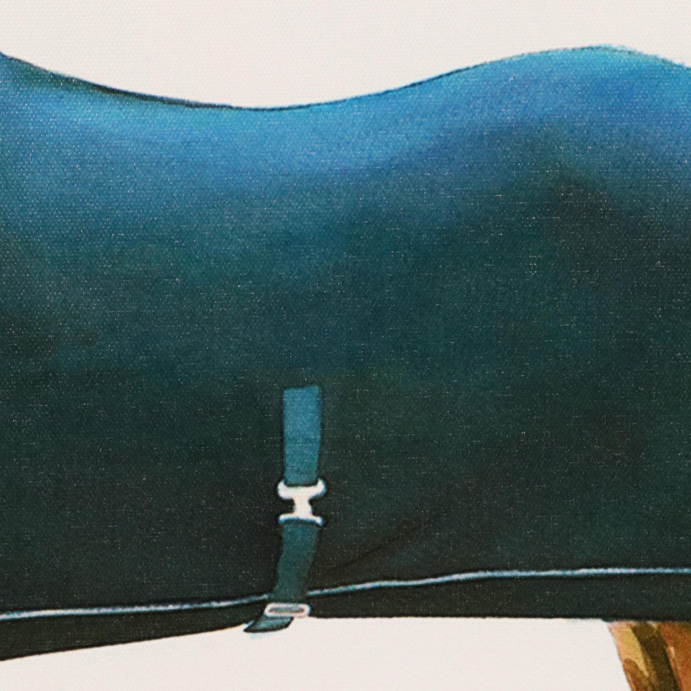 Giclée of Horse Wearing Blue Fleece, 21st Century