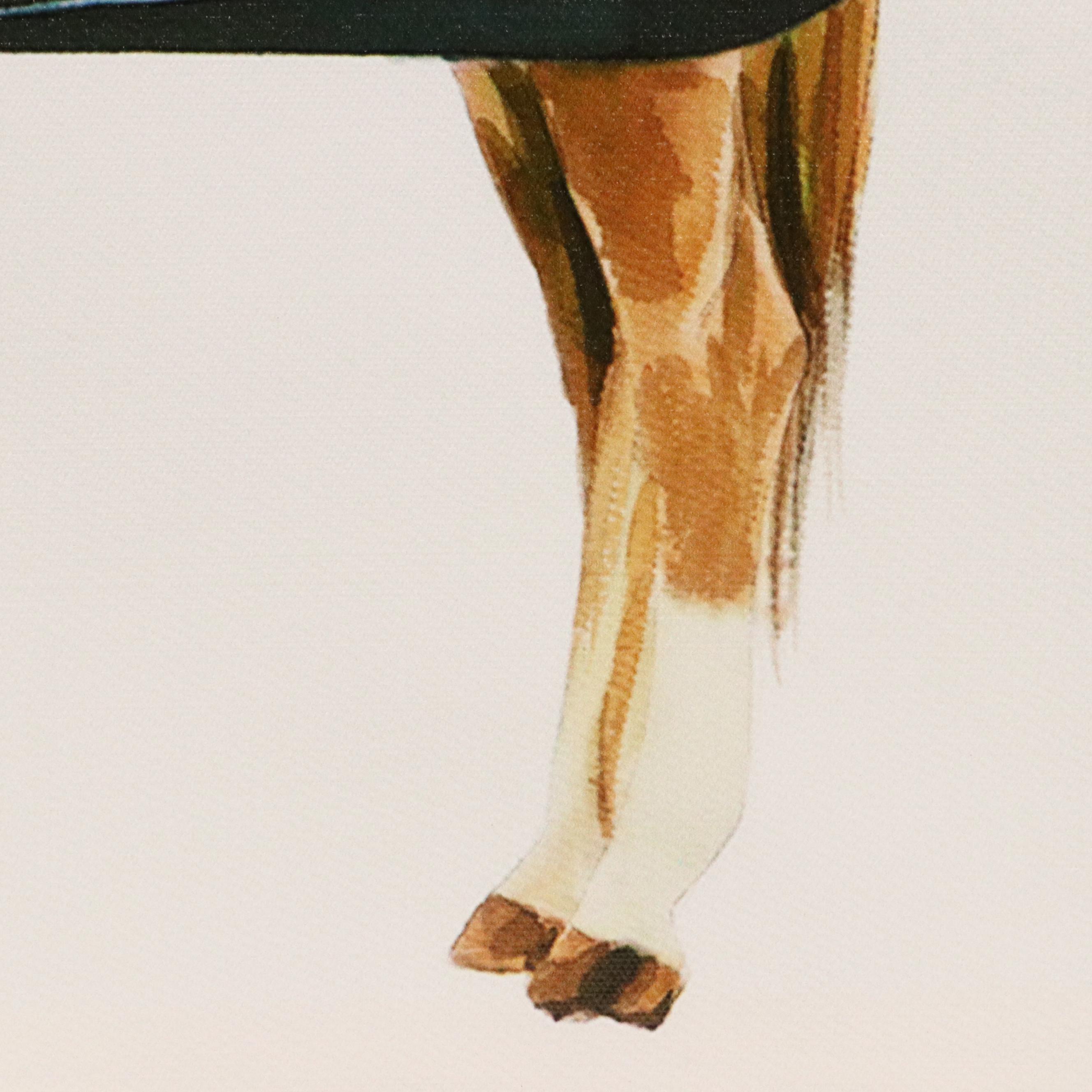 Giclée of Horse Wearing Blue Fleece, 21st Century