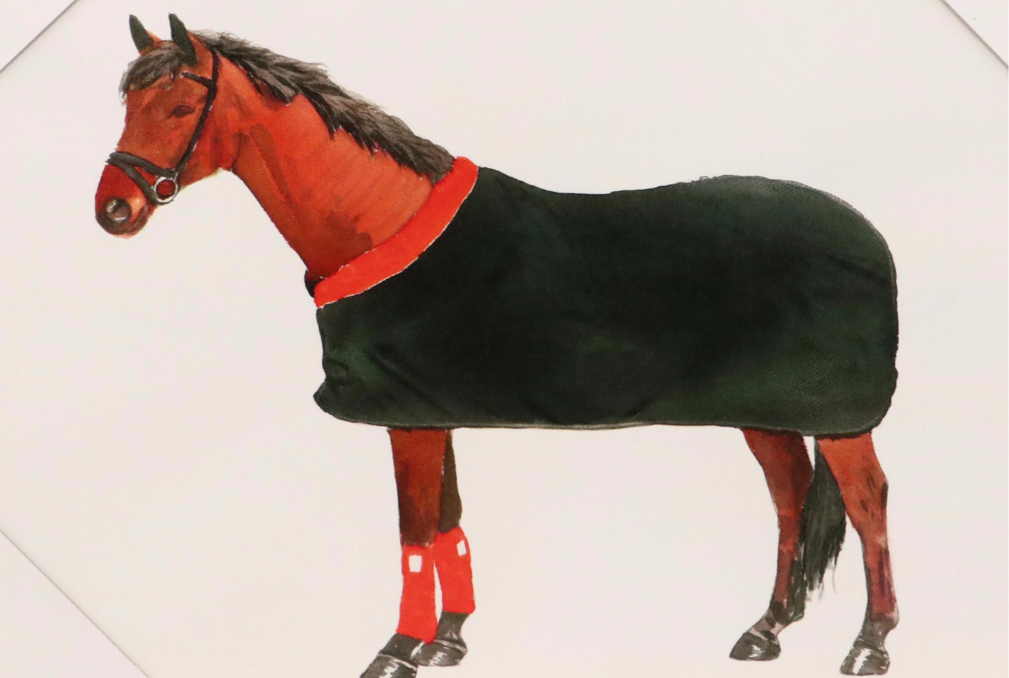 Giclée of Horse Wearing Red and Black Fleece, 21st Century