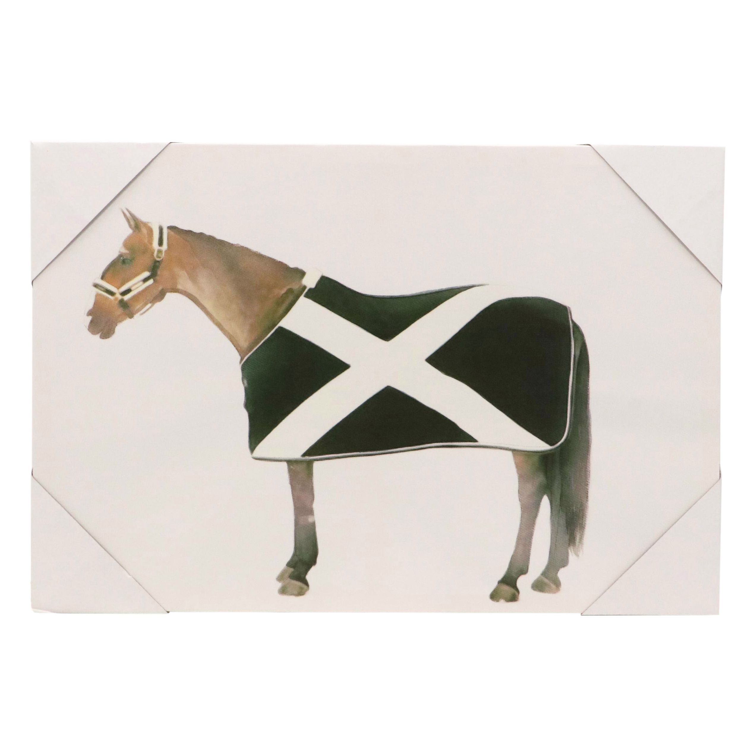 Giclée of Horse Wearing Black and White Fleece, 21st Century