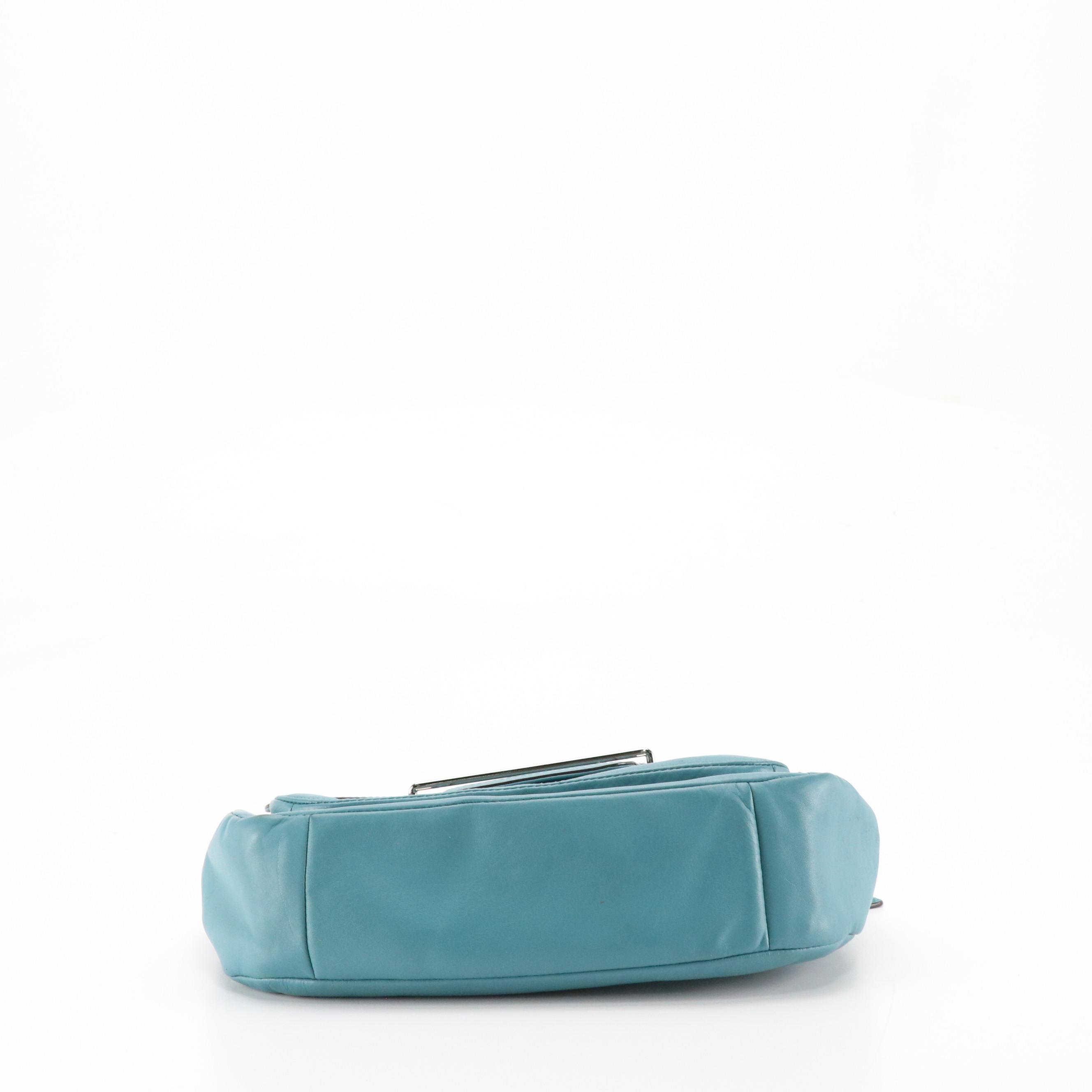 Coach Taylor F27481 and Brooke 14142 Leather Shoulder Bags