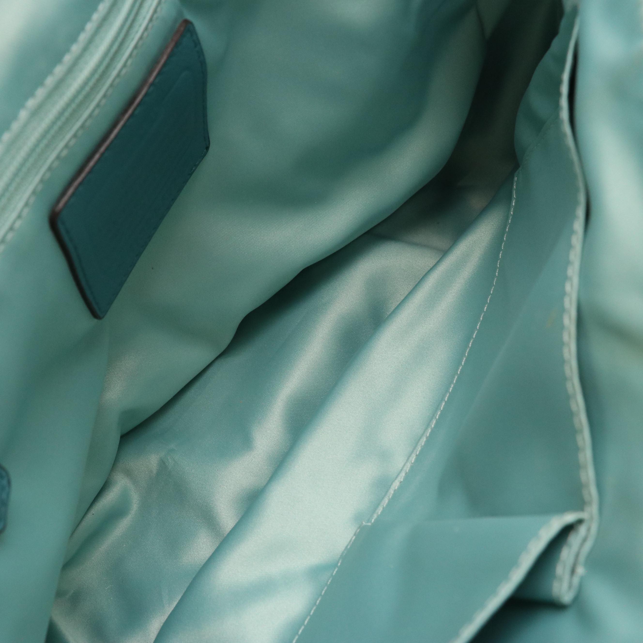 Coach Taylor F27481 and Brooke 14142 Leather Shoulder Bags