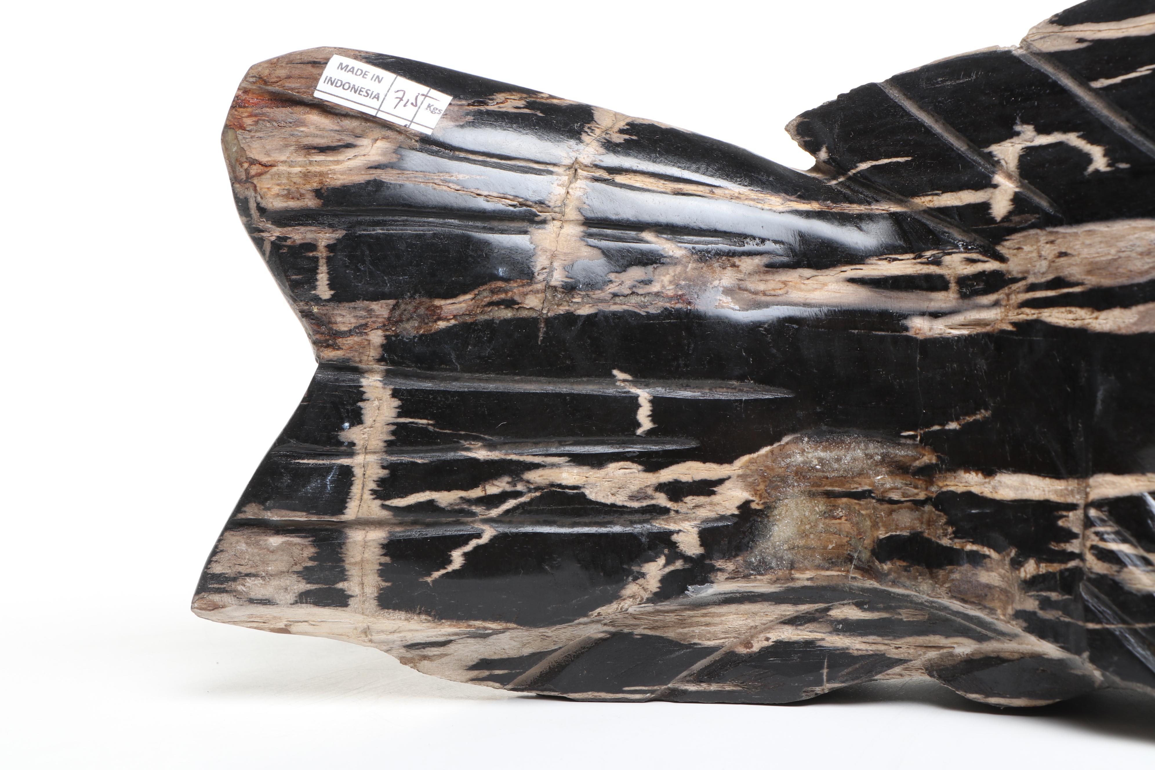 Carved Petrified Wood Fish Sculpture