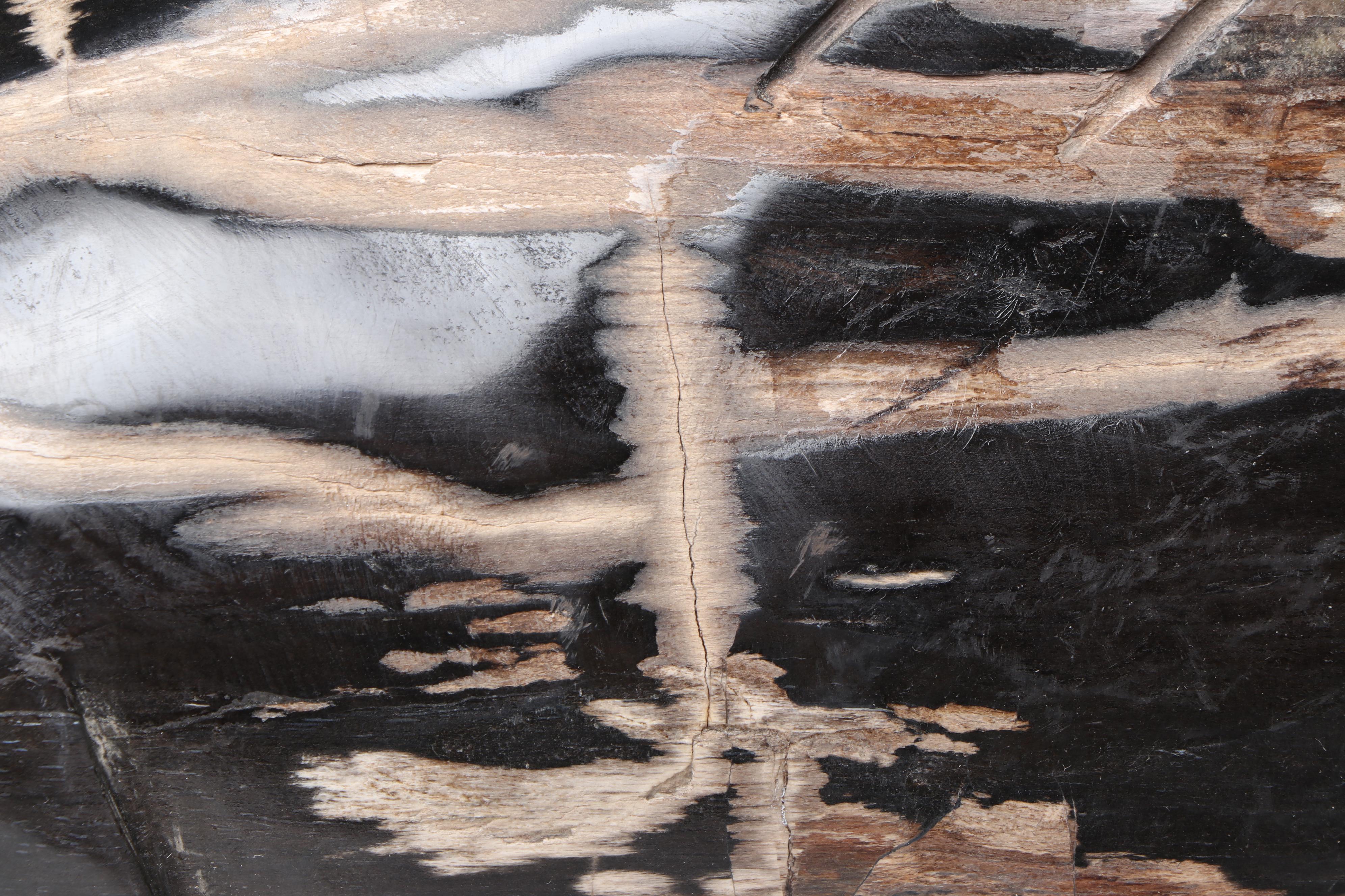 Carved Petrified Wood Fish Sculpture