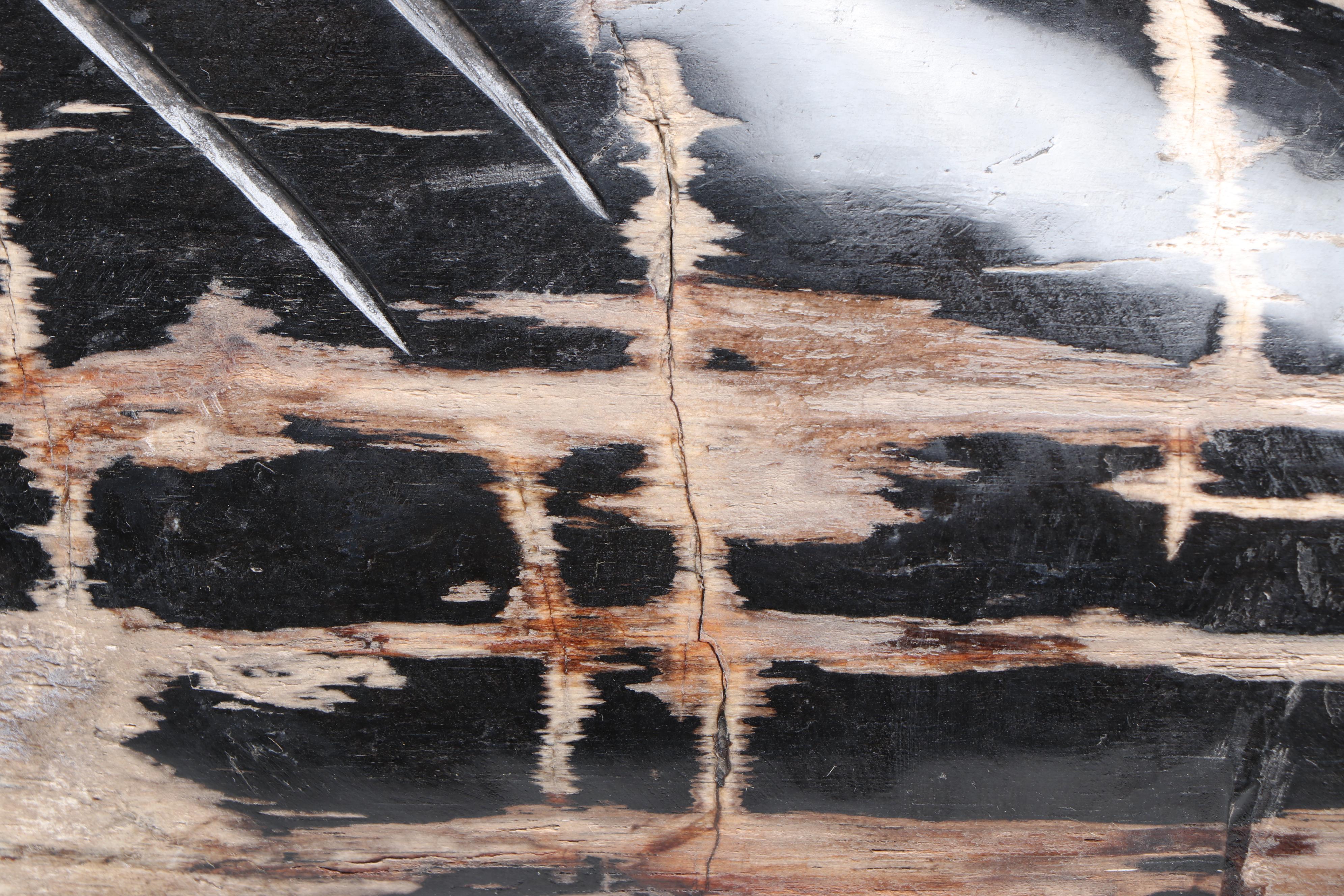 Carved Petrified Wood Fish Sculpture