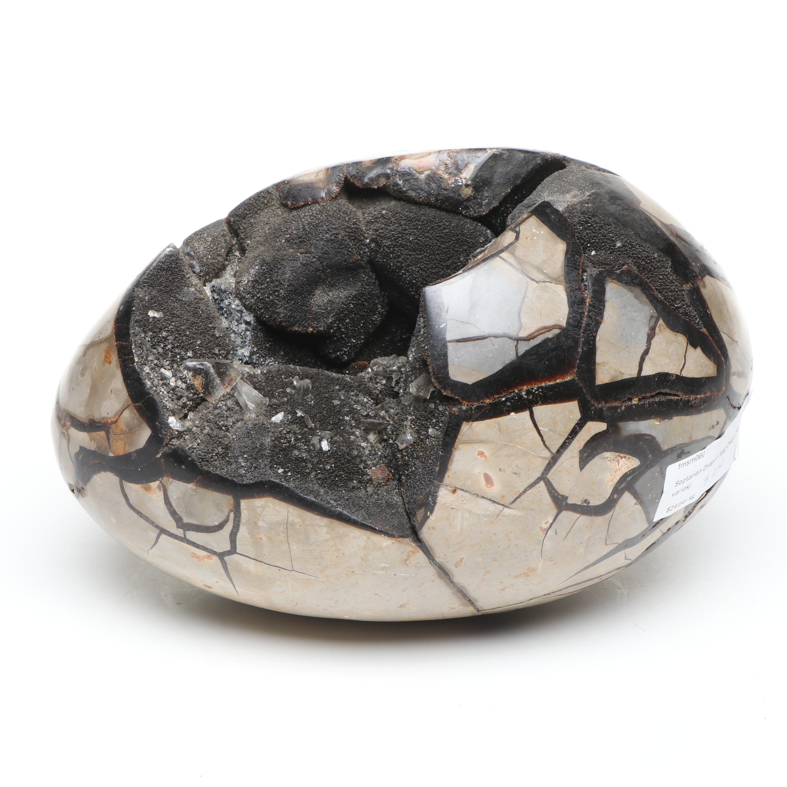 Septarian Egg