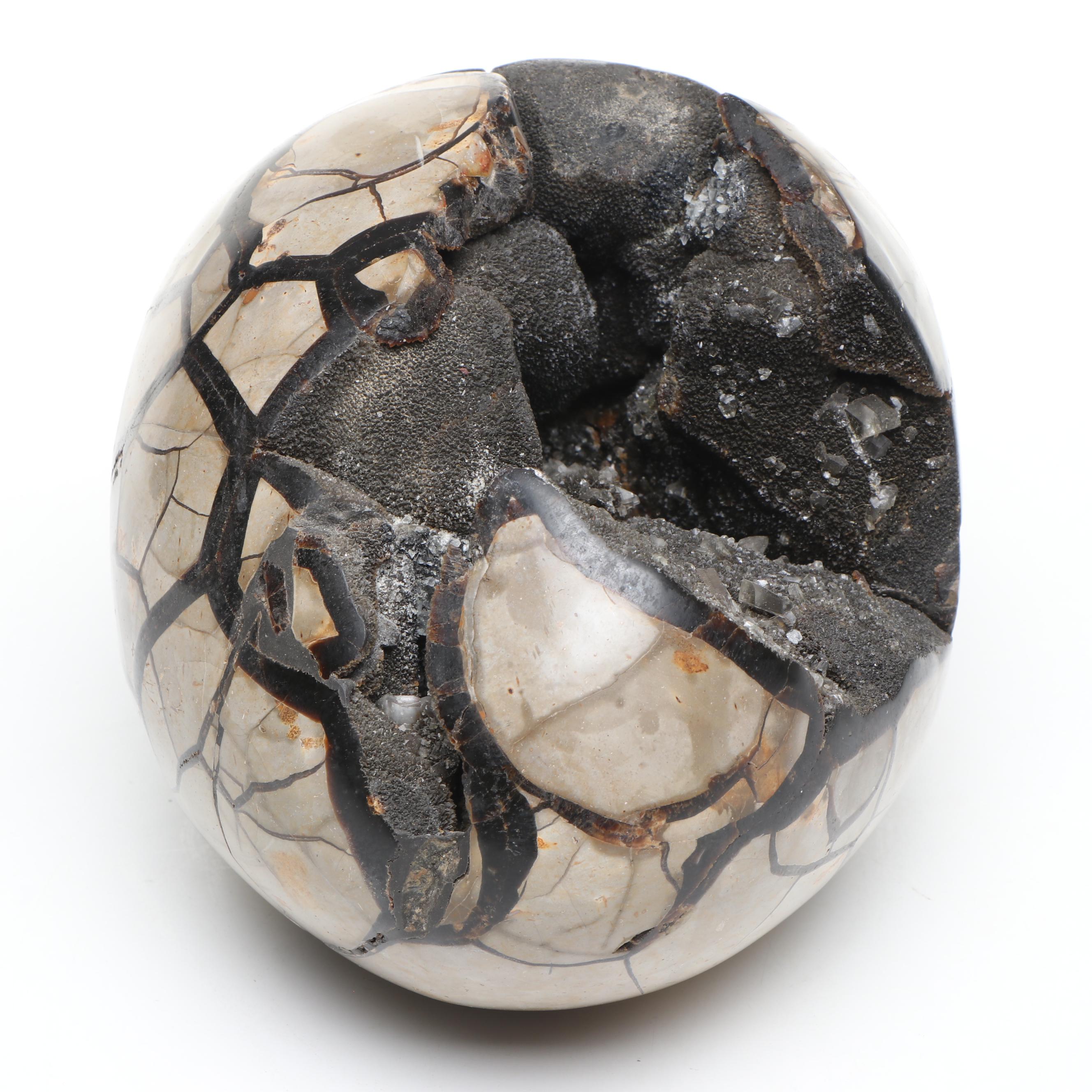 Septarian Egg
