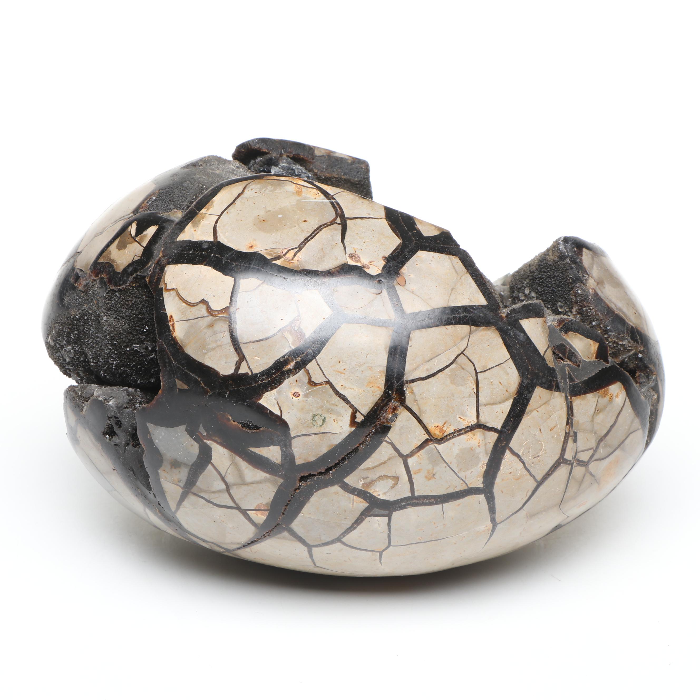 Septarian Egg