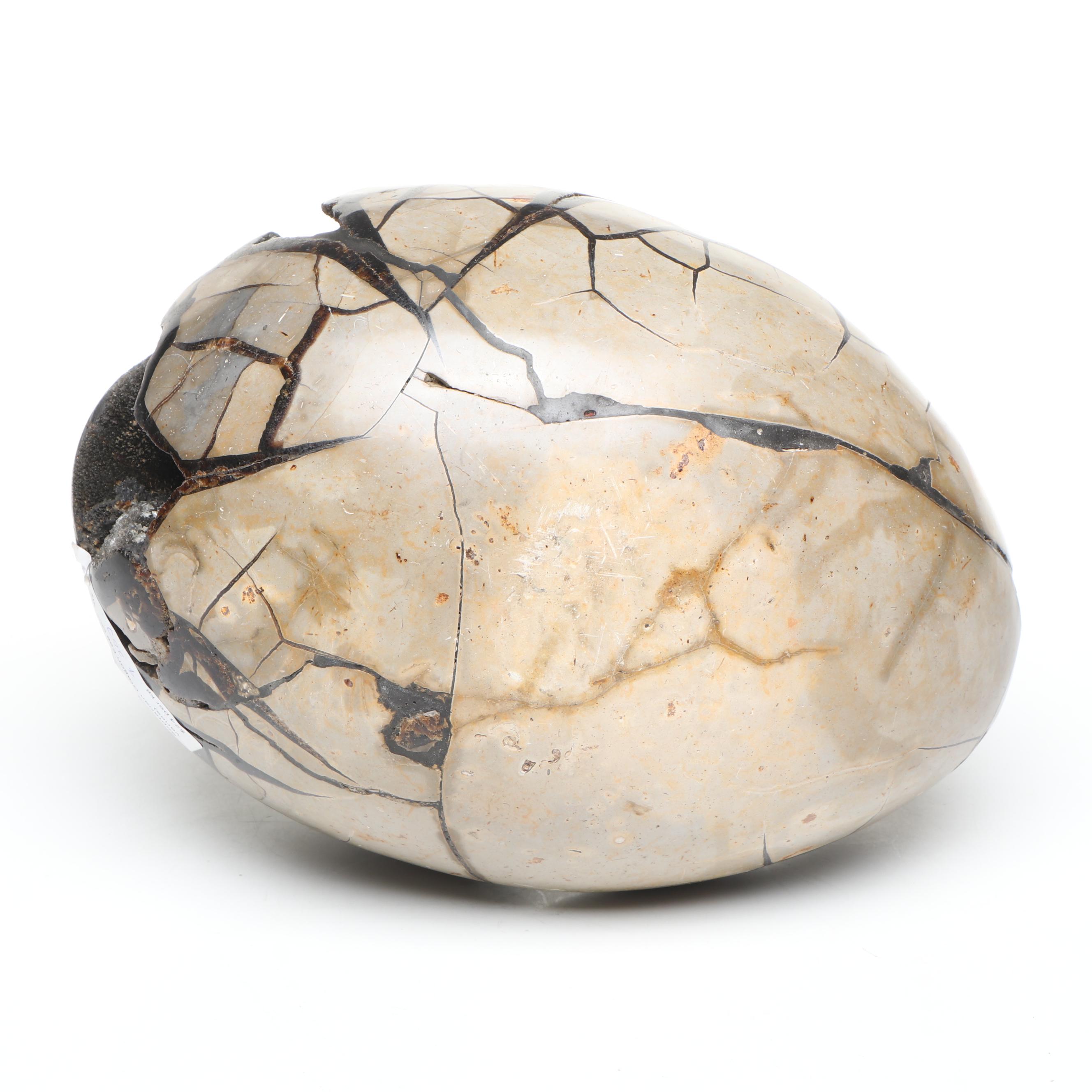 Septarian Egg