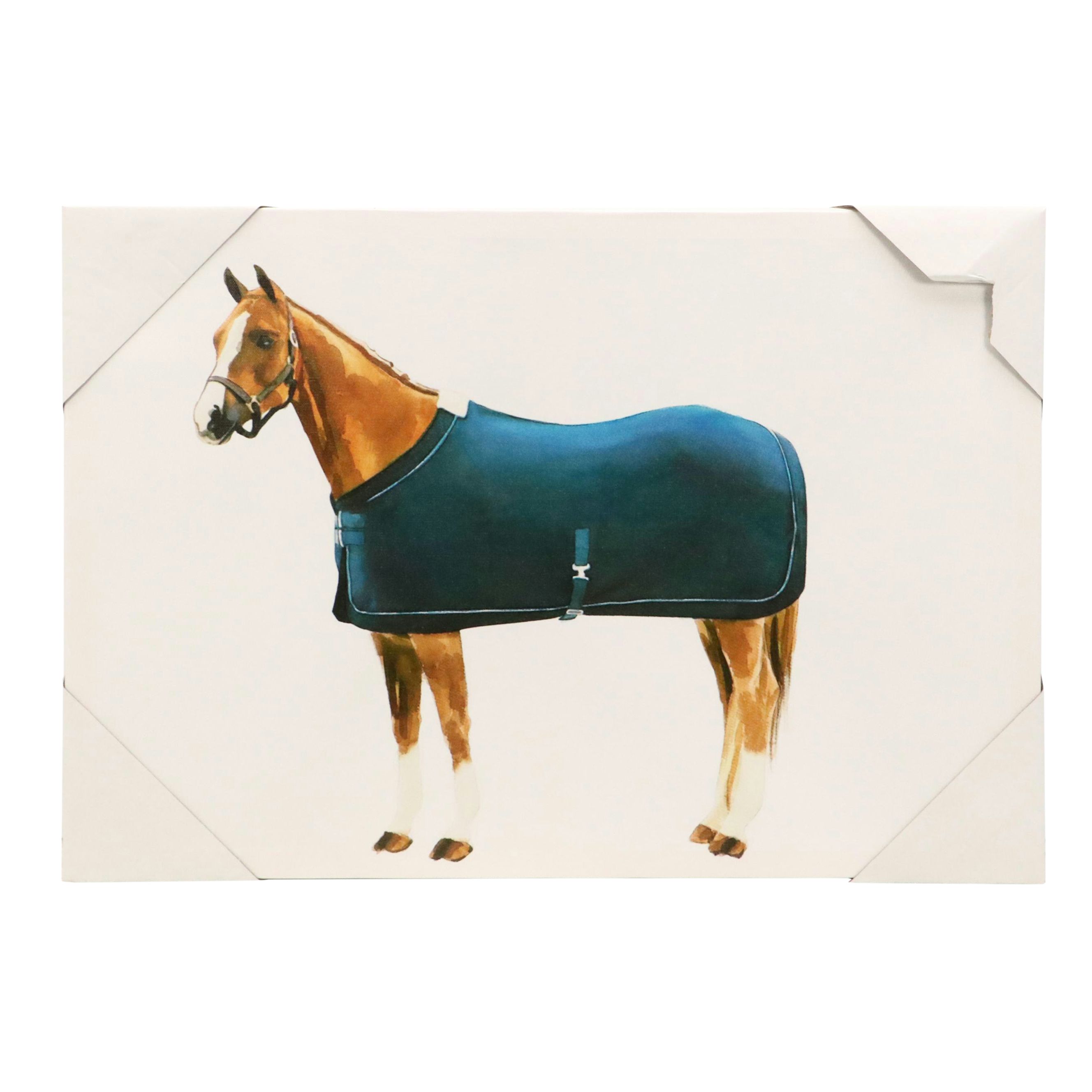 Giclée of Horse Wearing Blue Fleece, 21st Century